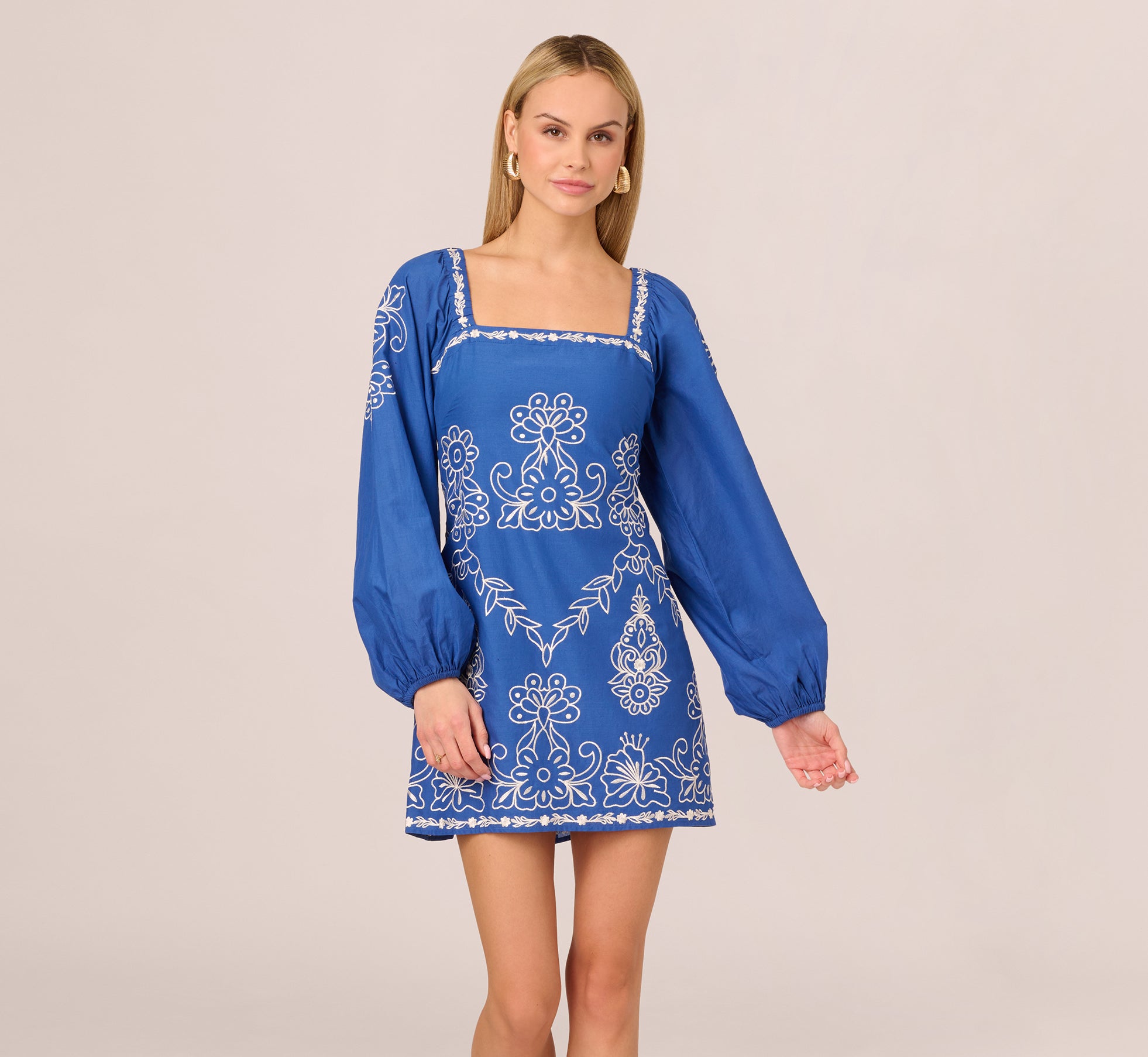 Long Sleeve Embroidered Cotton Mini Dress In Blue White、mySite、solidvoid