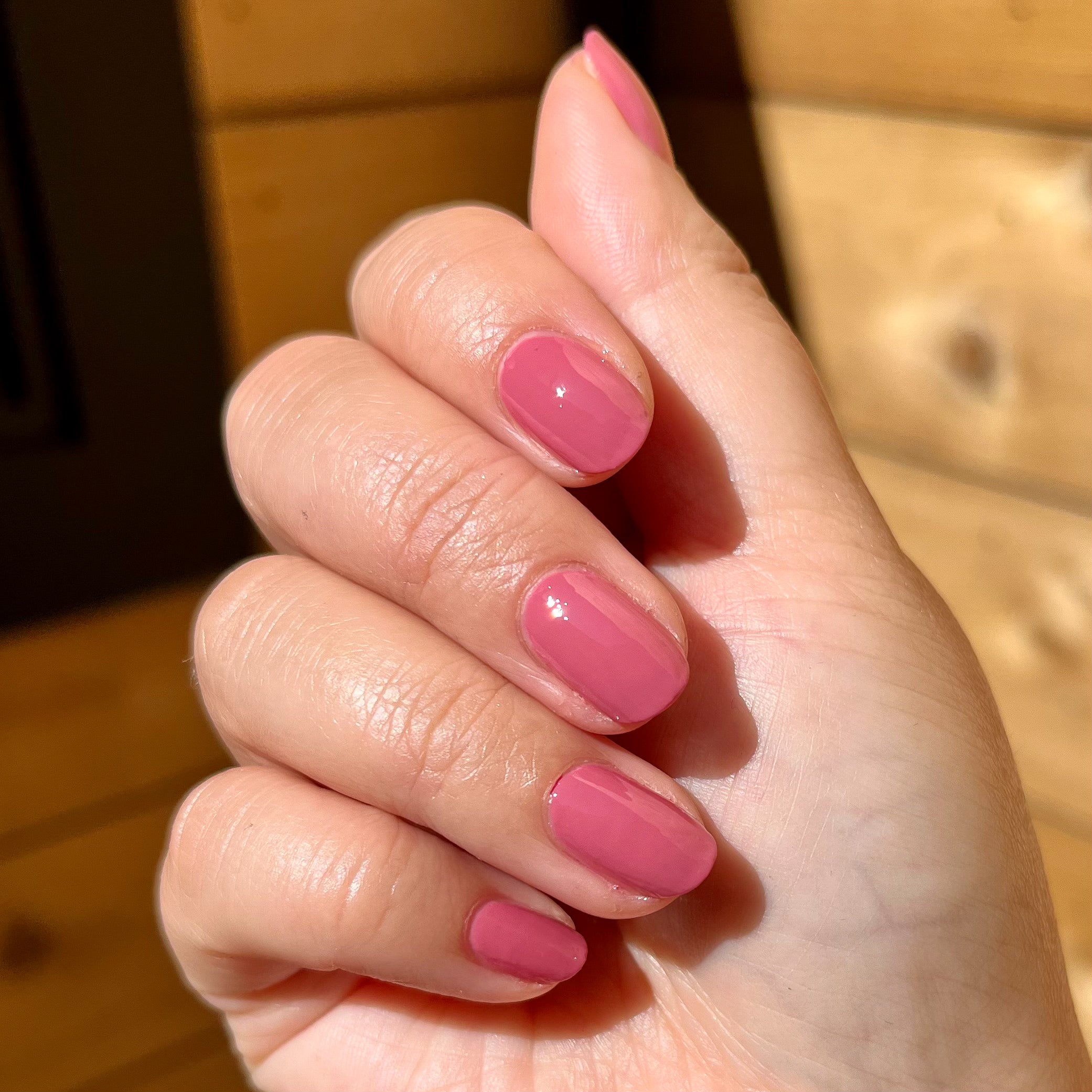 Primrose、mySite、solidvoid