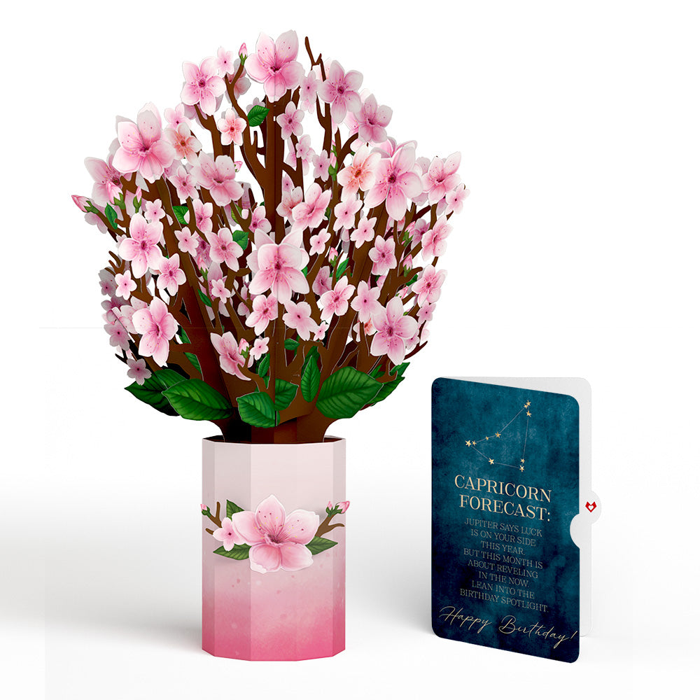 Cherry Blossom Birthday Bouquet and Capricorn Zodiac Sentiment Set、mySite、solidvoid