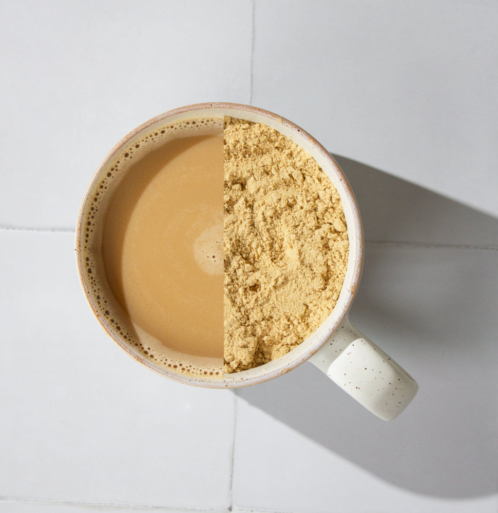 Performance Mushrooms - Free Product、mySite、gigharbornorthrealestate