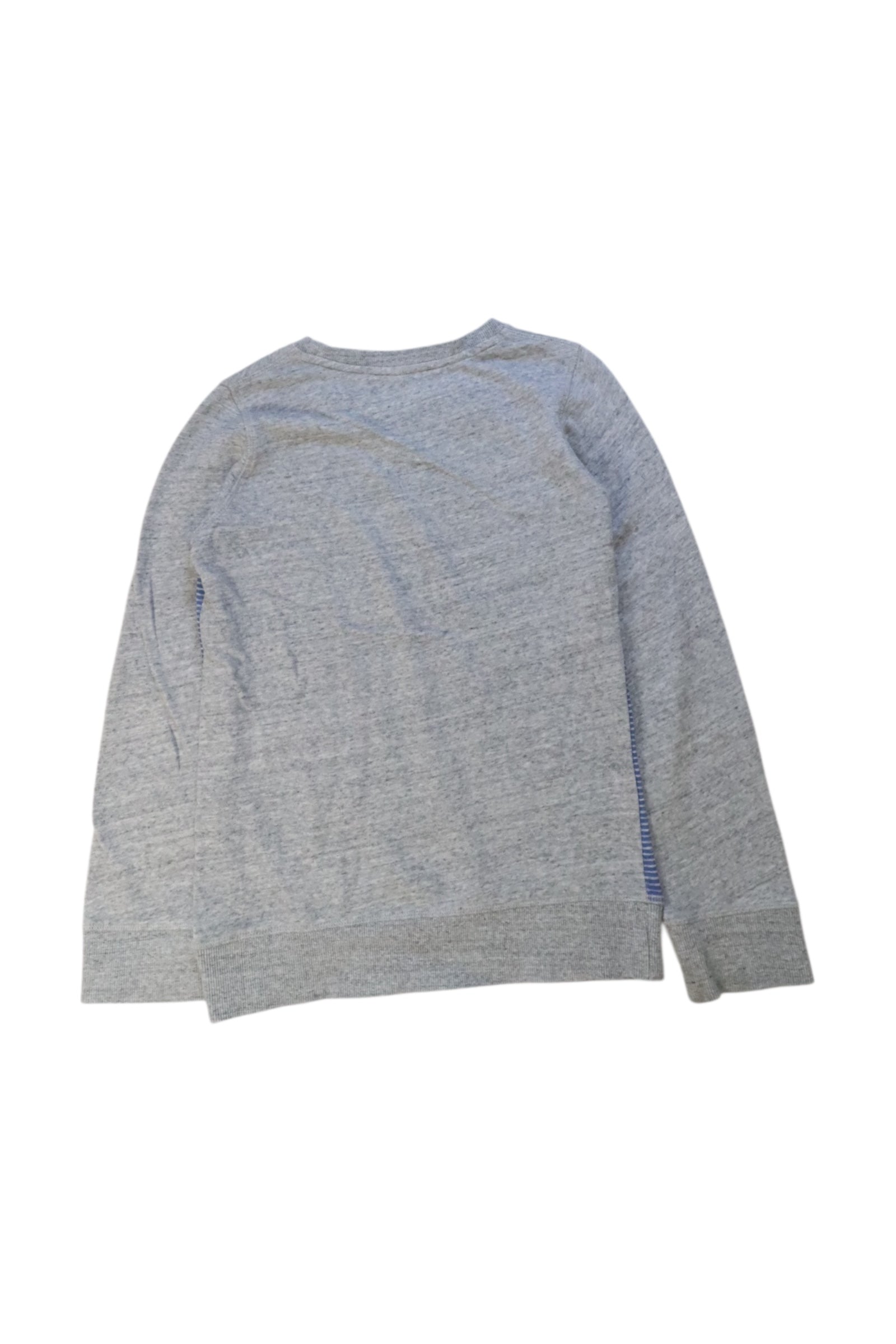 Seed Whale Crewneck Sweatshirt 9-10Y、mySite、g9winljtr