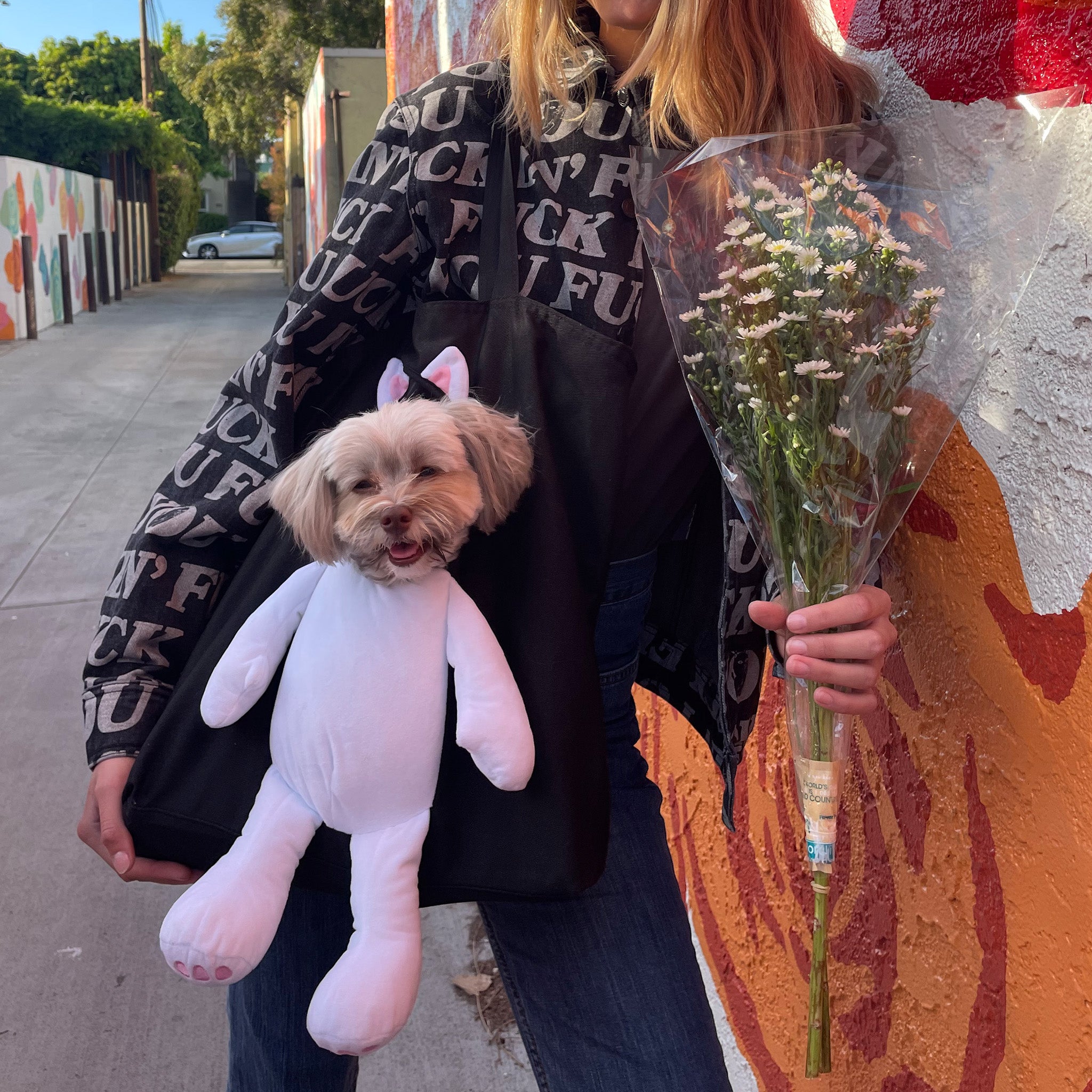  Lord Nermal Pet Tote (Black)、mySite、merchandisen