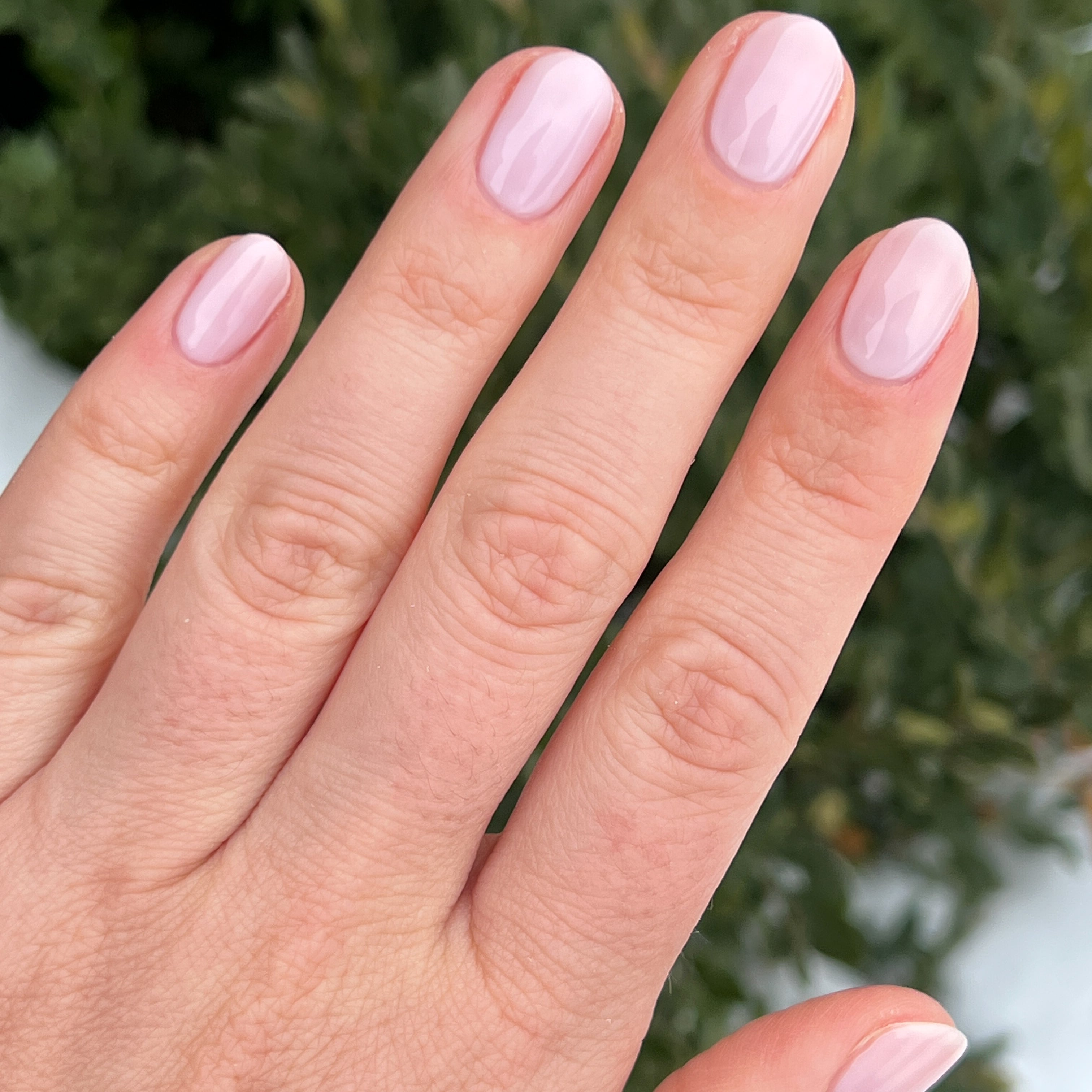 Strawberry Scone、mySite、solidvoid