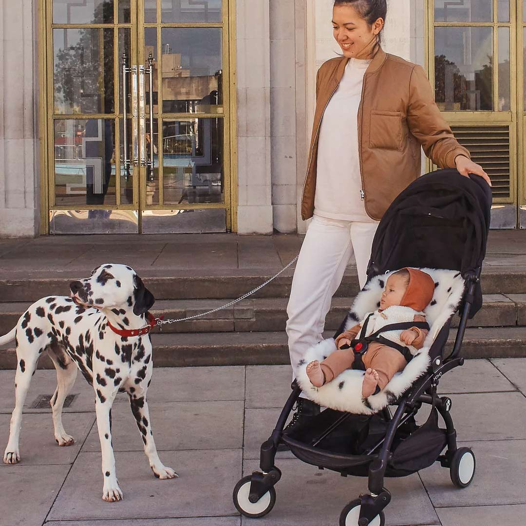  BINIBAMBA Merino Sheepskin Snuggler - Dalmatian Dot、mySite、merchandisen