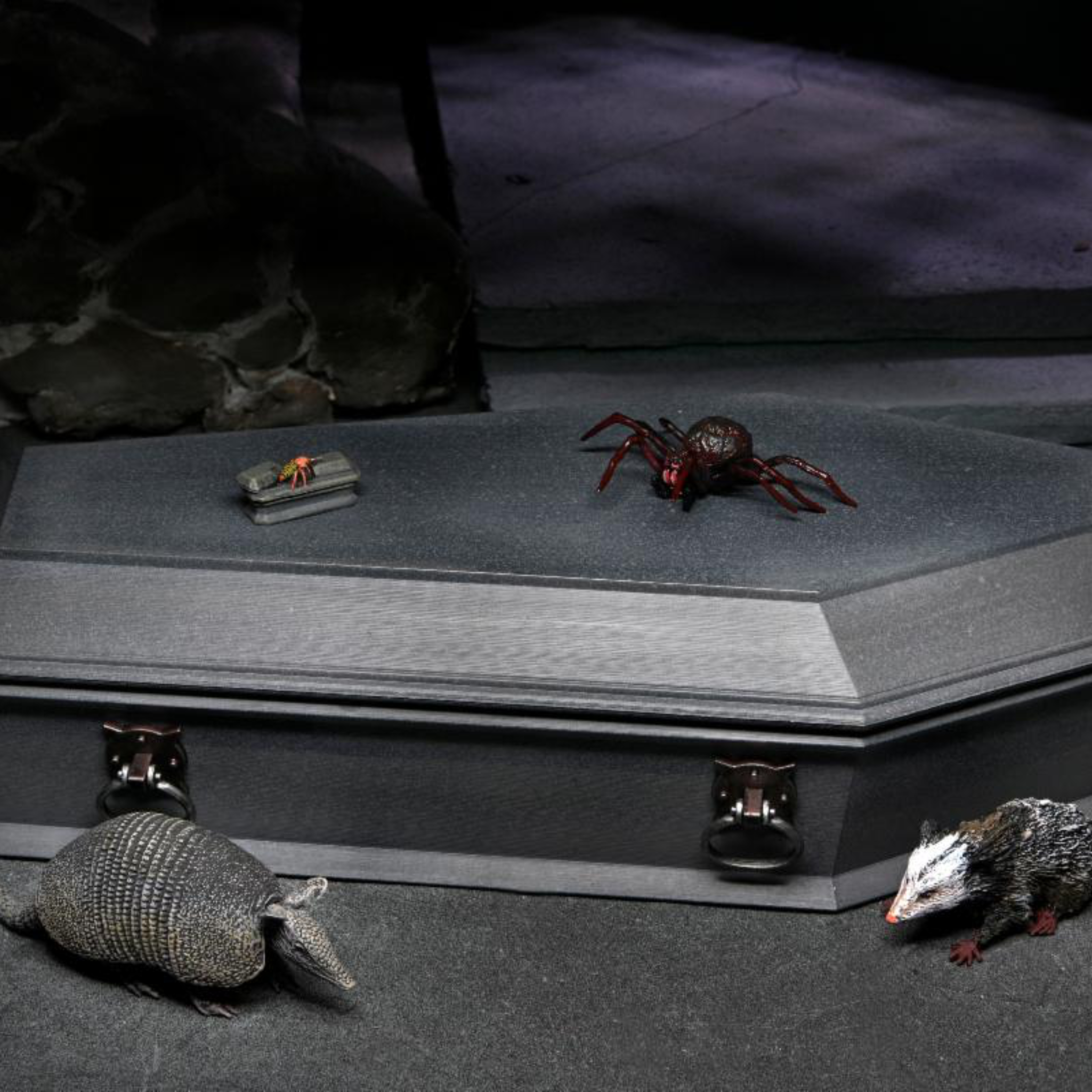 NECA Universal Monsters Accessory Pack: Dracula、mySite、hgirdovlk