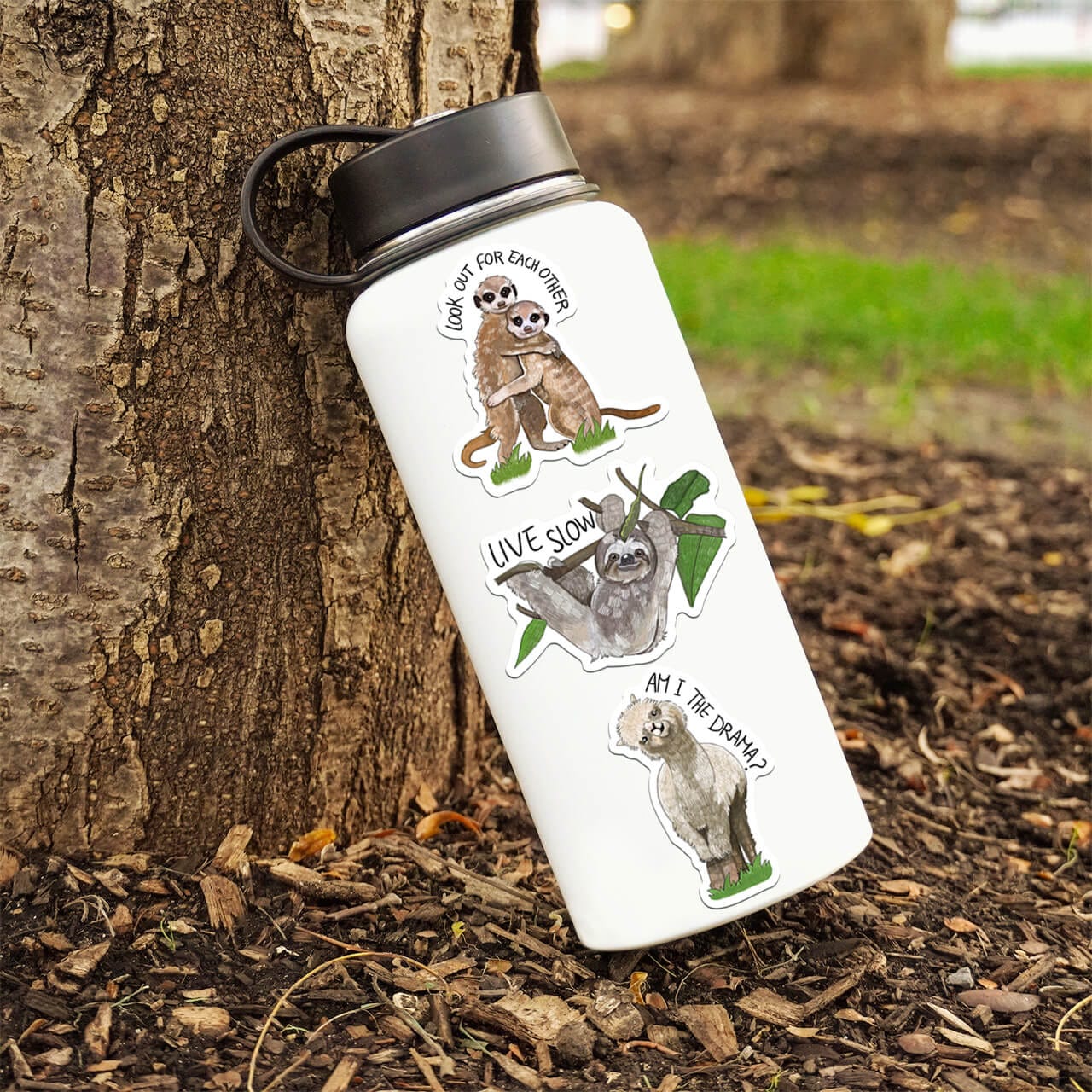  Exotic Animal Sticker 5 Pack、mySite、ghnorth