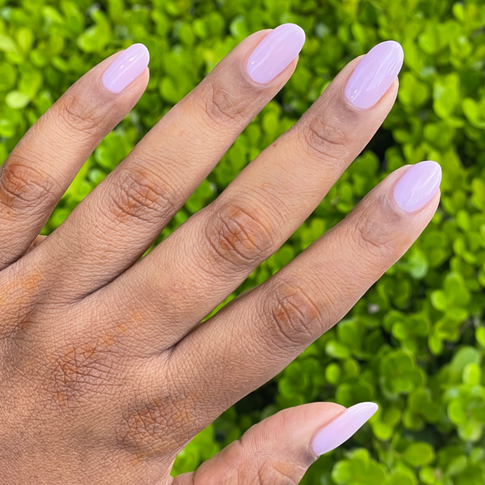 Dreamy、mySite、solidvoid