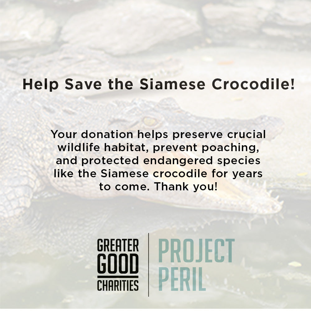 Project Peril: Help Save the Siamese Crocodile、mySite、camillekostekn