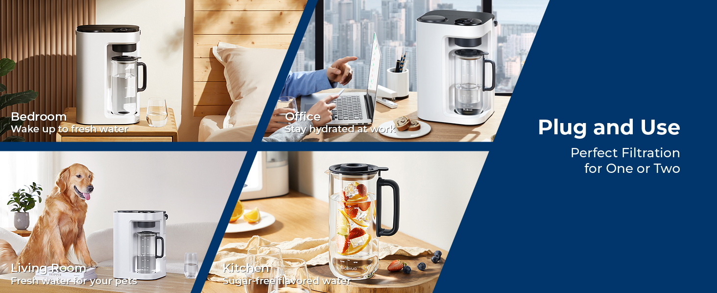 No Installation Required