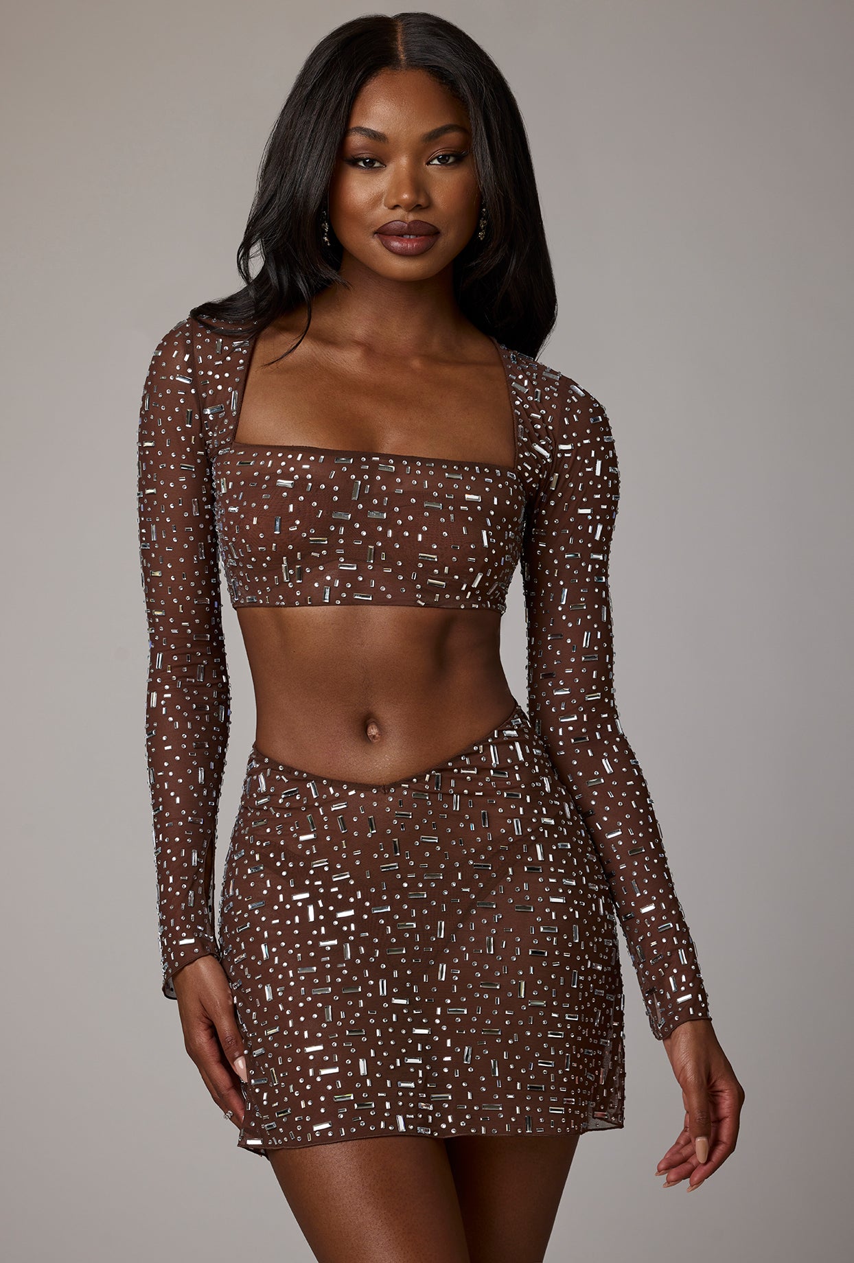 Sheer Embellished Long Sleeve Crop Top in Deep Cocoa、mySite、solidvoid