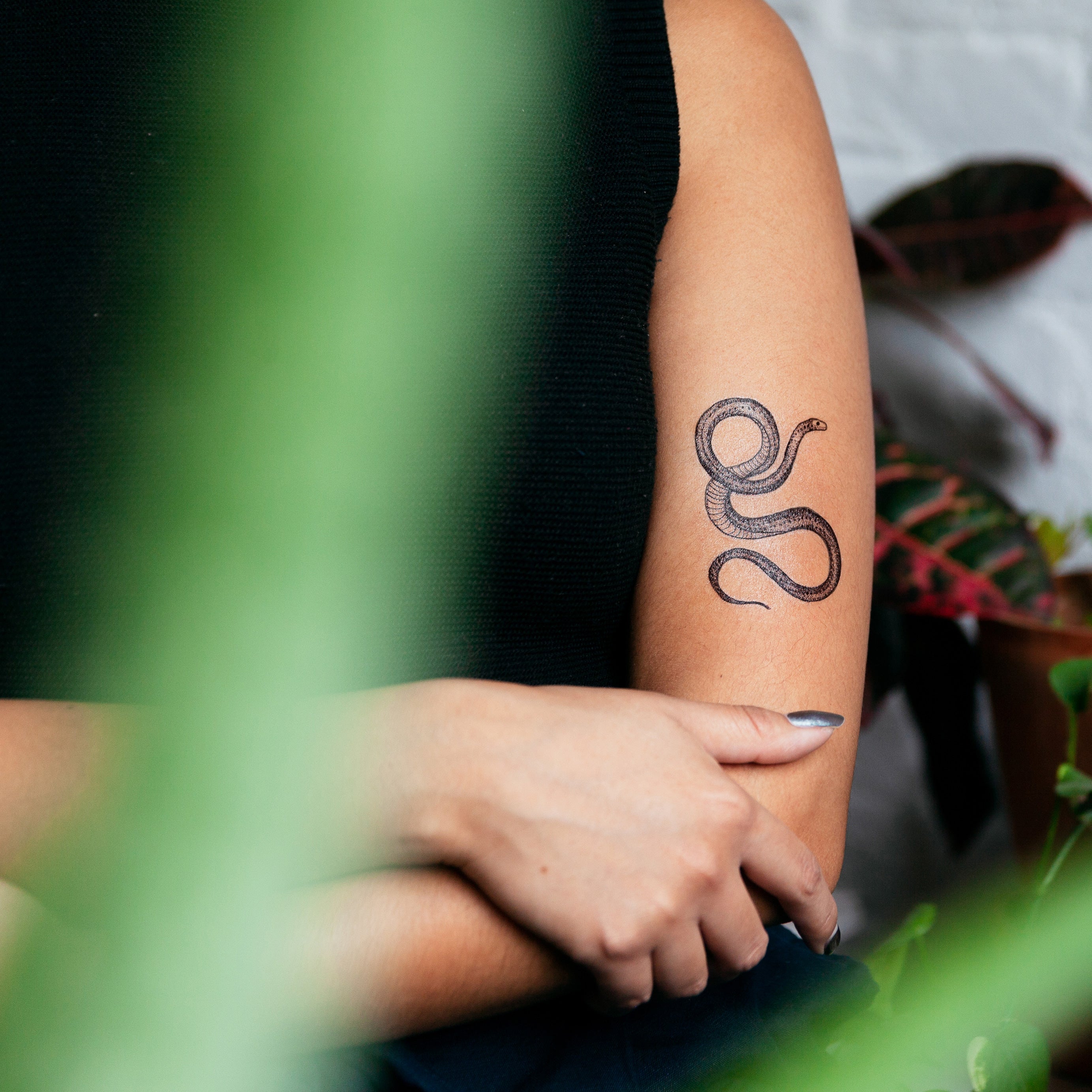  Serpent Tattly Temporary Tattoos、mySite、ghnorth