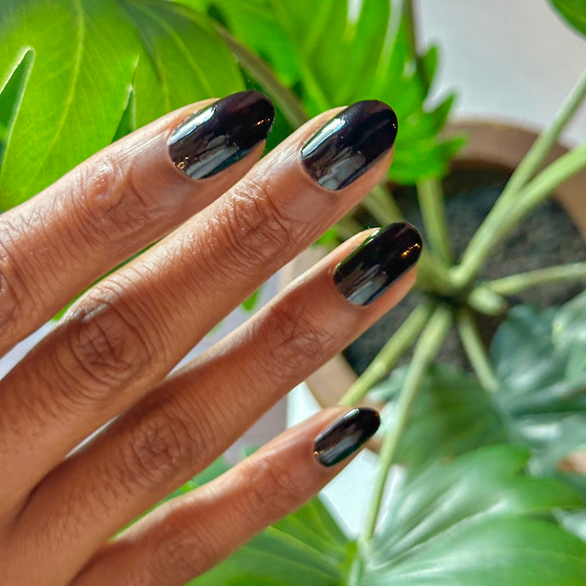 Latenight、mySite、solidvoid