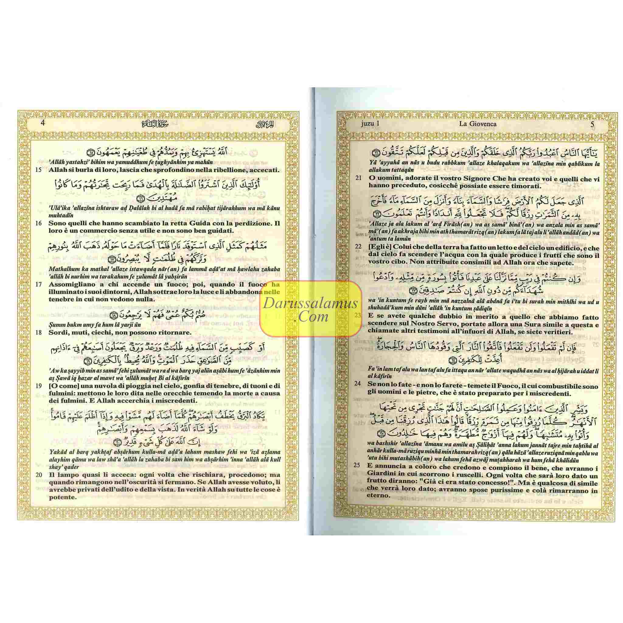 Quran In Italian Language,(Translation in Italian),(Transliteration In English),IL Sacro Corano e la traduzione in lingua italiana del senso dei suoi、mySite、topwebapps