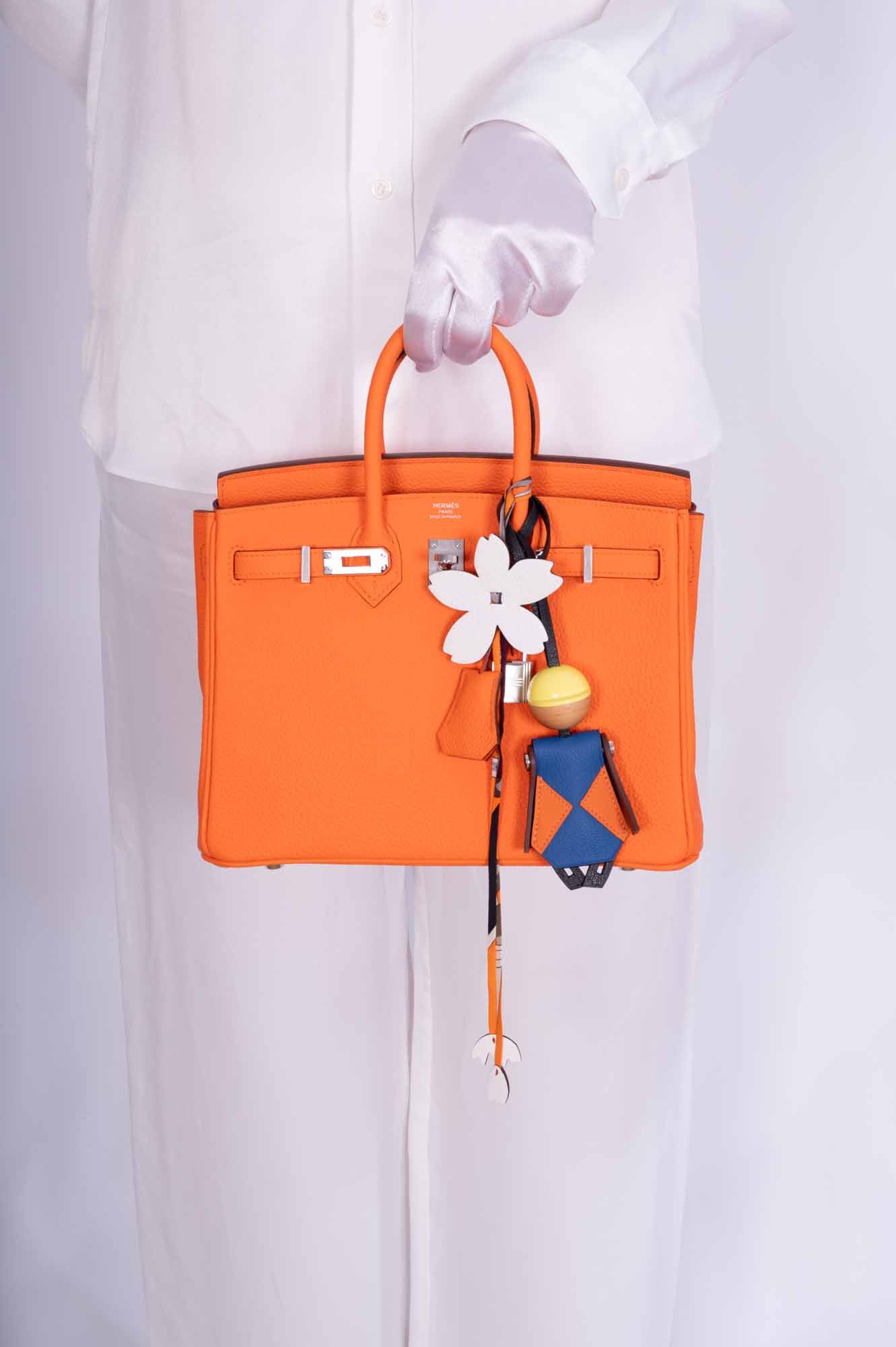 Hermès Birkin 25 Orange Minium Togo Palladium Hardware、mySite、garminoutage.com