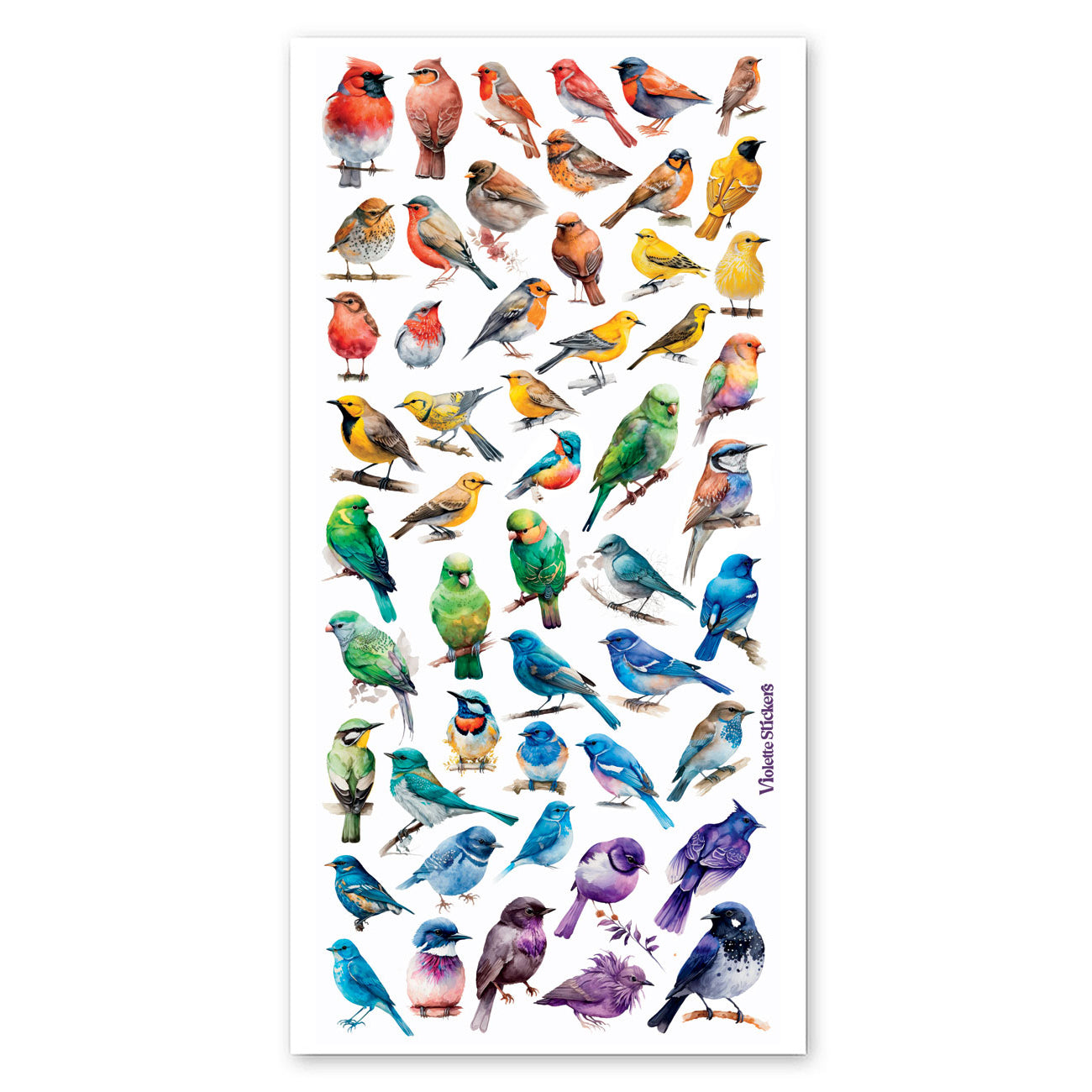  Rainbow Birds Stickers、mySite、ghnorth