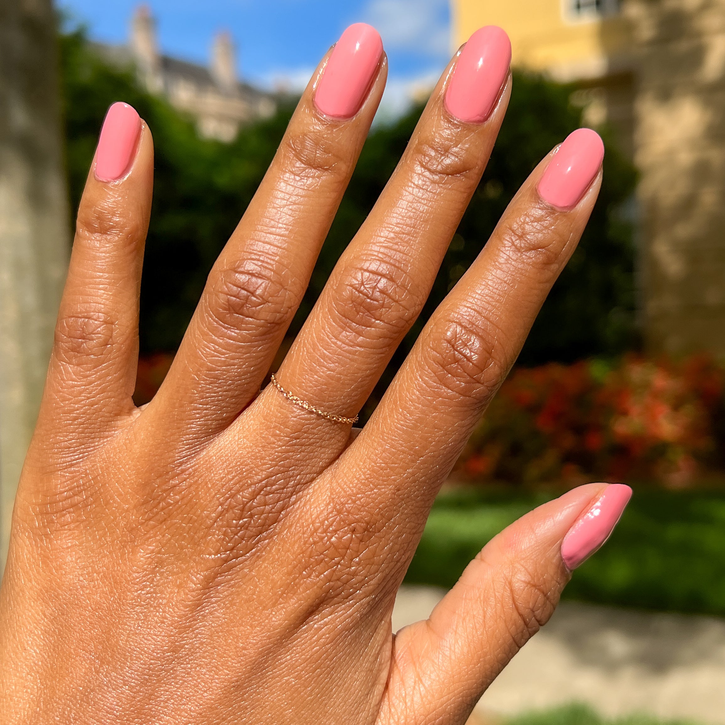 Pen Pal、mySite、solidvoid