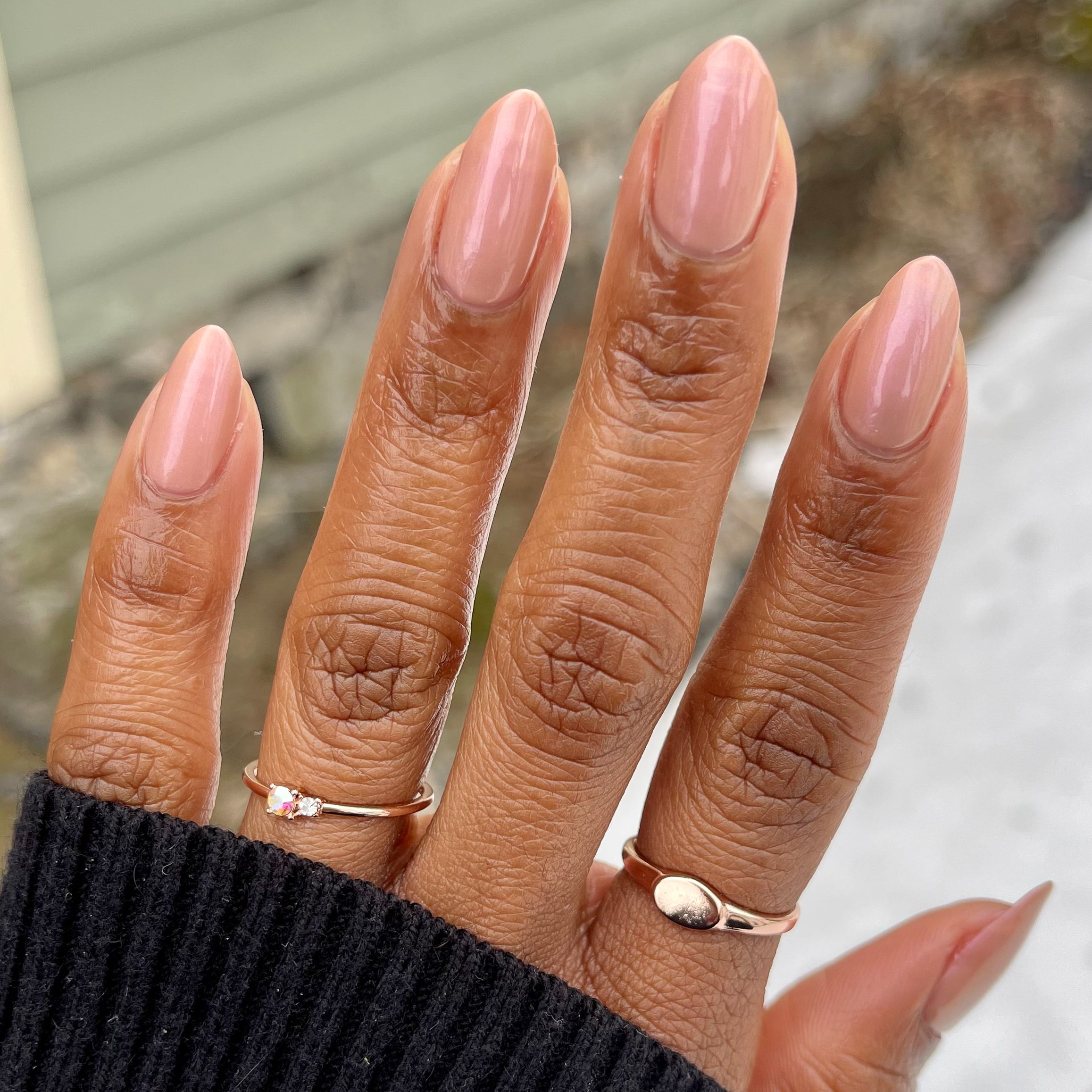 Sandy Scallop、mySite、solidvoid