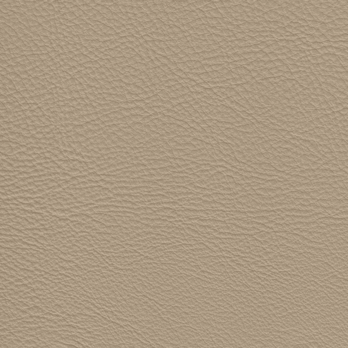 Stone、mySite、neckold