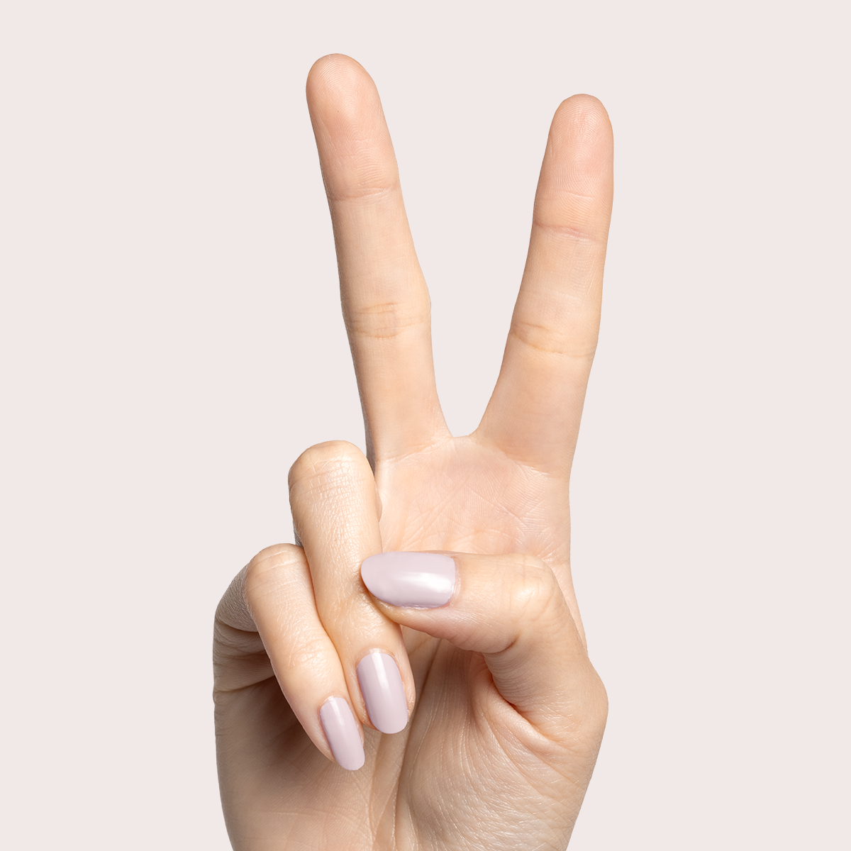 Sculpture Wing、mySite、solidvoid