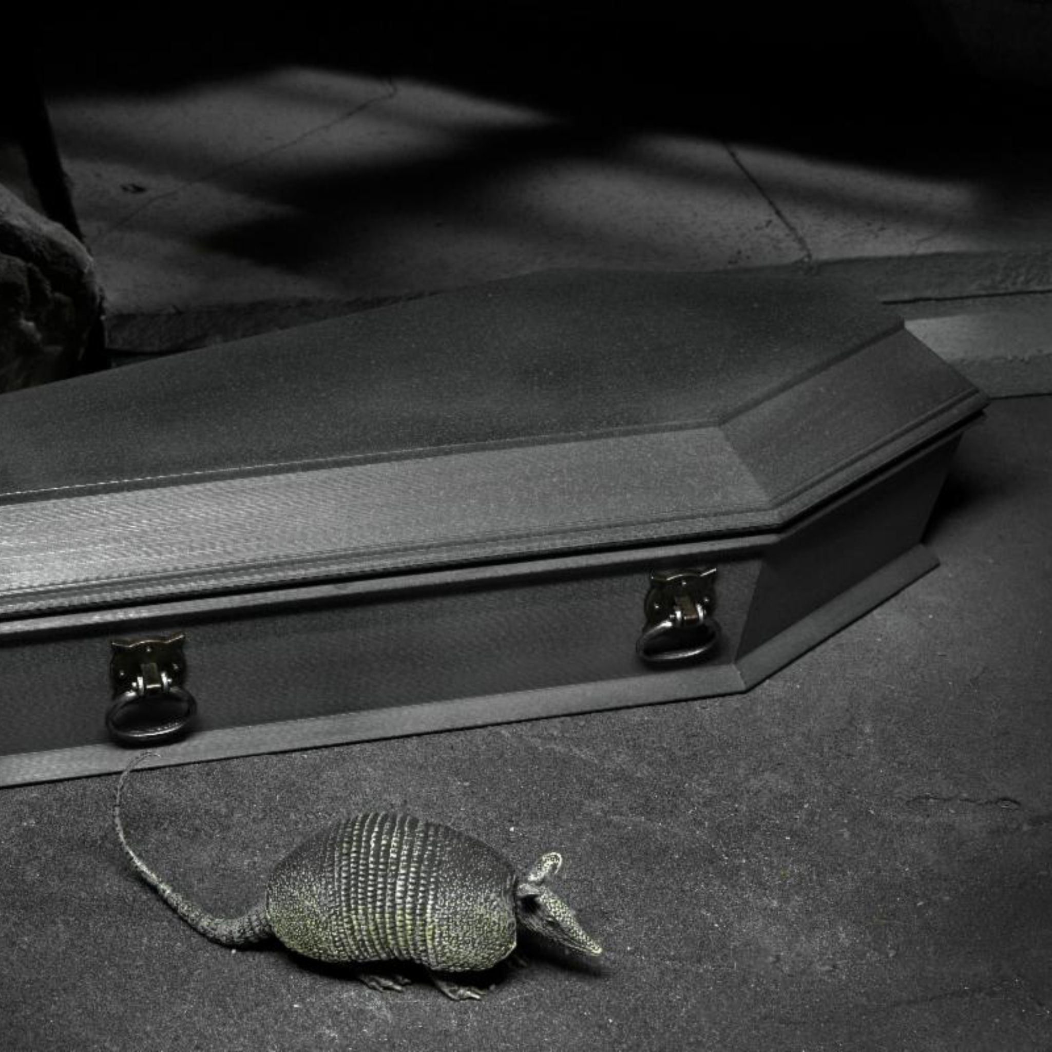 NECA Universal Monsters Accessory Pack: Dracula、mySite、hgirdovlk