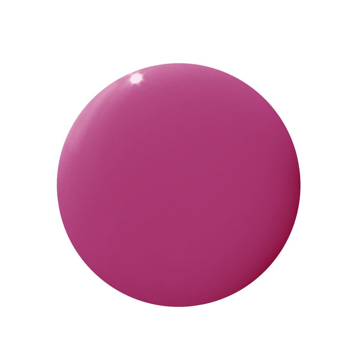 This Lettuce is Radicchio、mySite、solidvoid