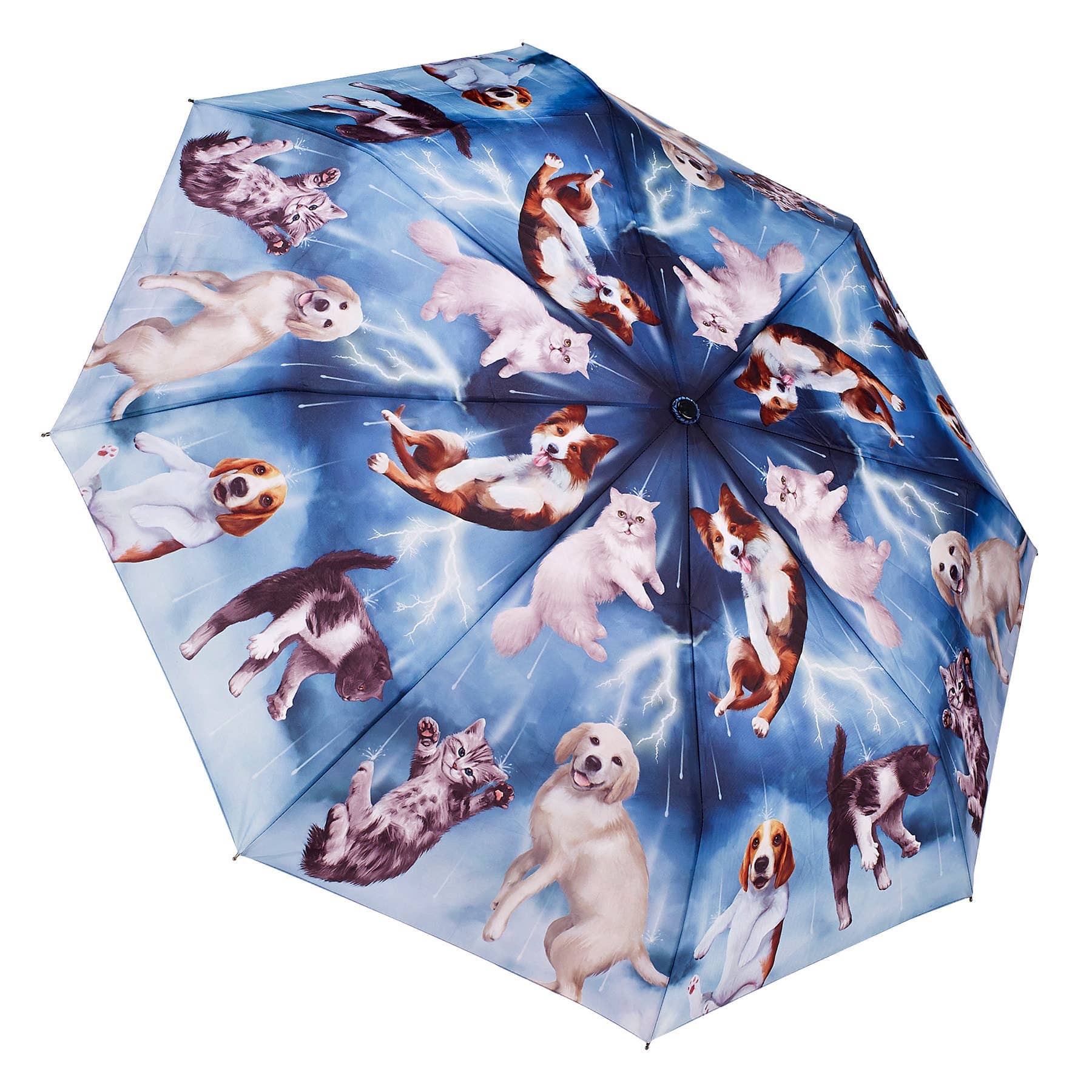 Cats & Dogs Folding Umbrella by Galleria for the Pet Lovers!、mySite、g9winljtr