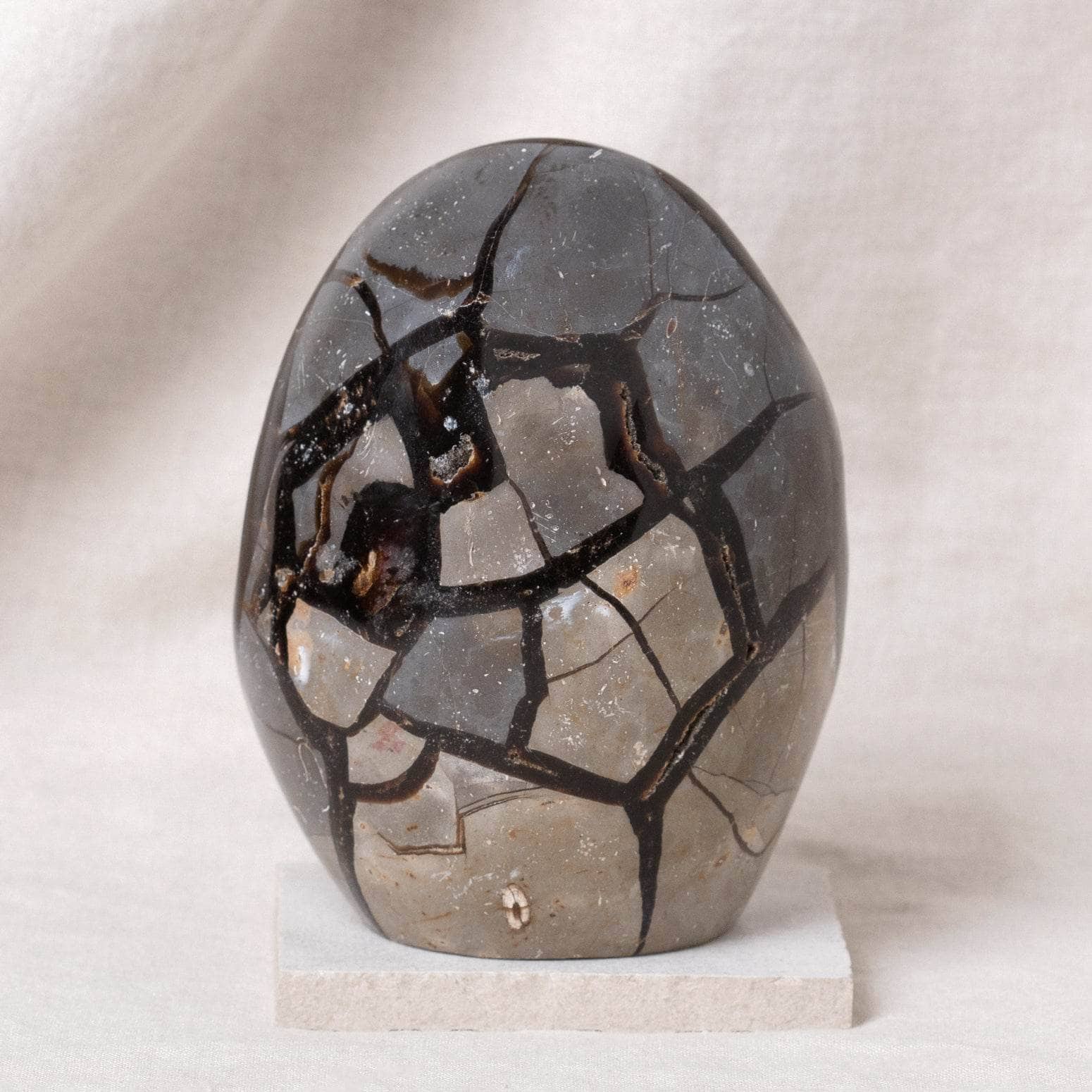 Rare Black Septarian Freeform Crystal、mySite、hinf8tx79