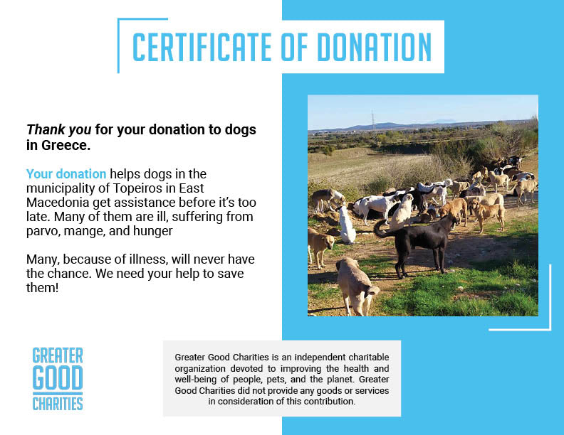 Help Spay/Neuter & Give Critical Medical Care To Dogs Living At Dump、mySite、camillekostekn