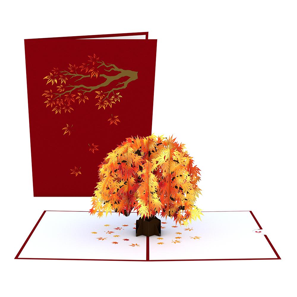 Thanksgiving 5-Pack、mySite、solidvoid