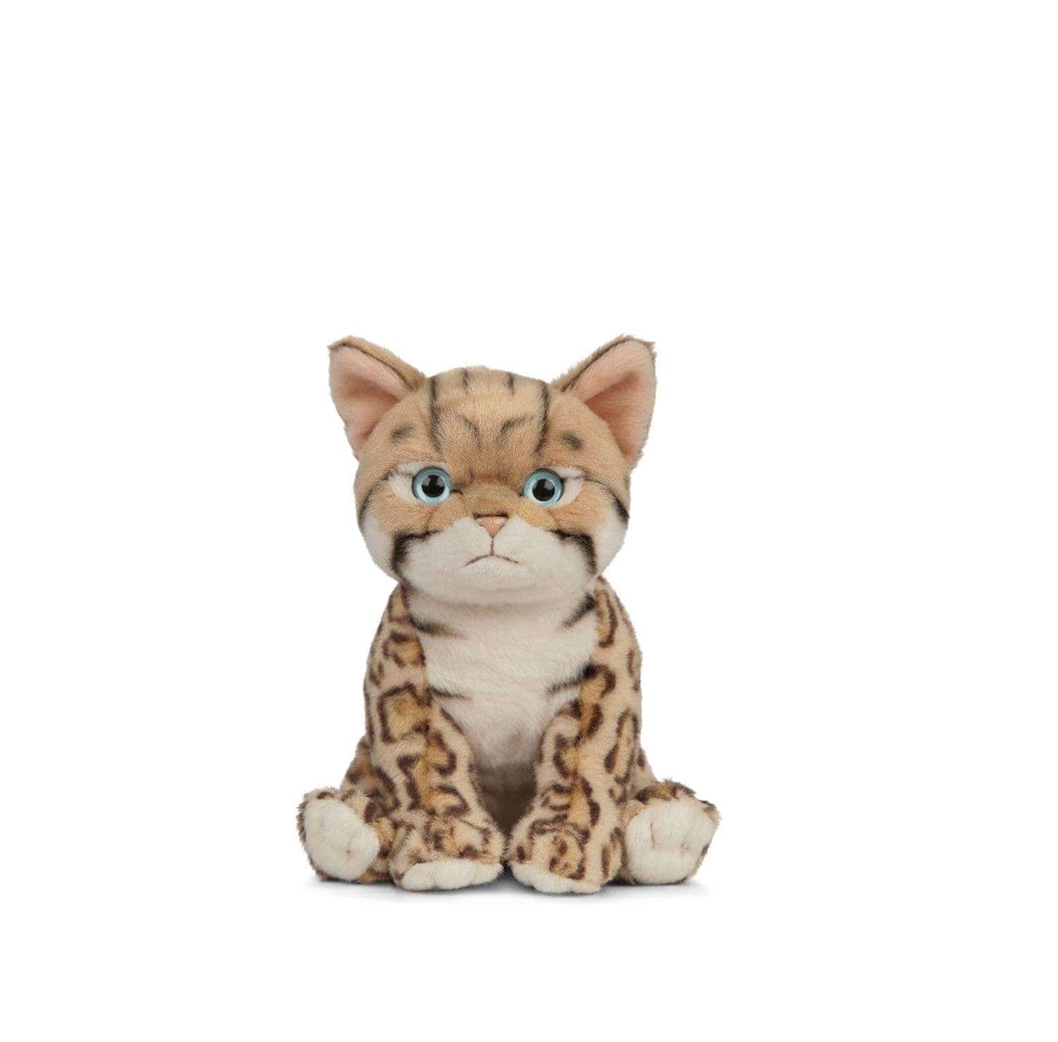 Bengal Kitten-Eco Friendly, Recycled Plastic!、mySite、g9winljtr