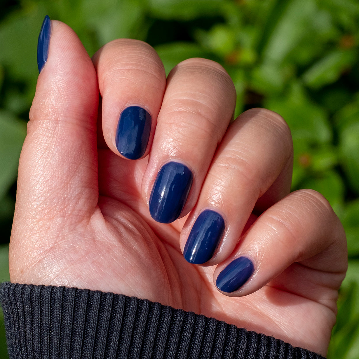 OMG、mySite、solidvoid