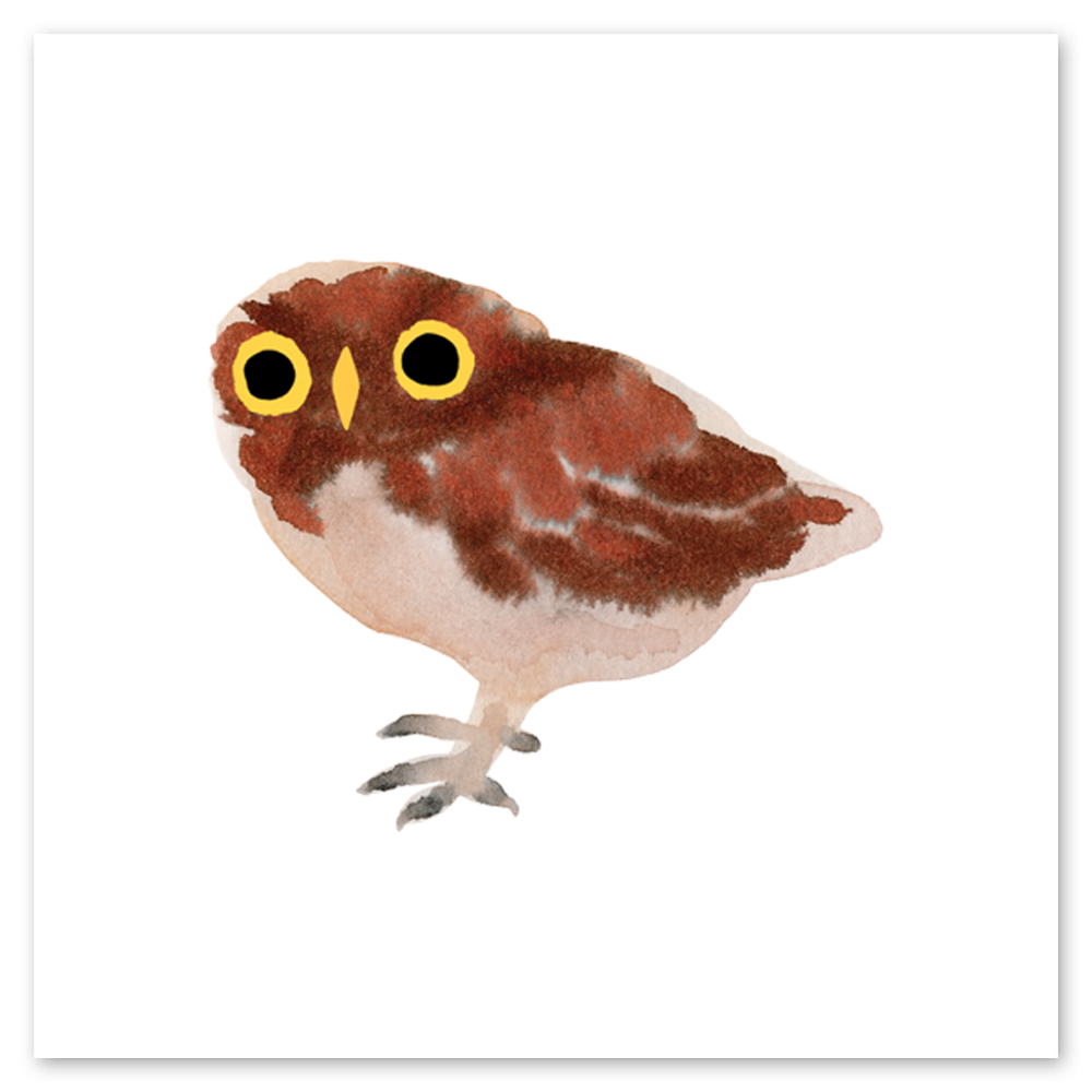  Owlet Tattly Temporary Tattoos、mySite、ghnorth