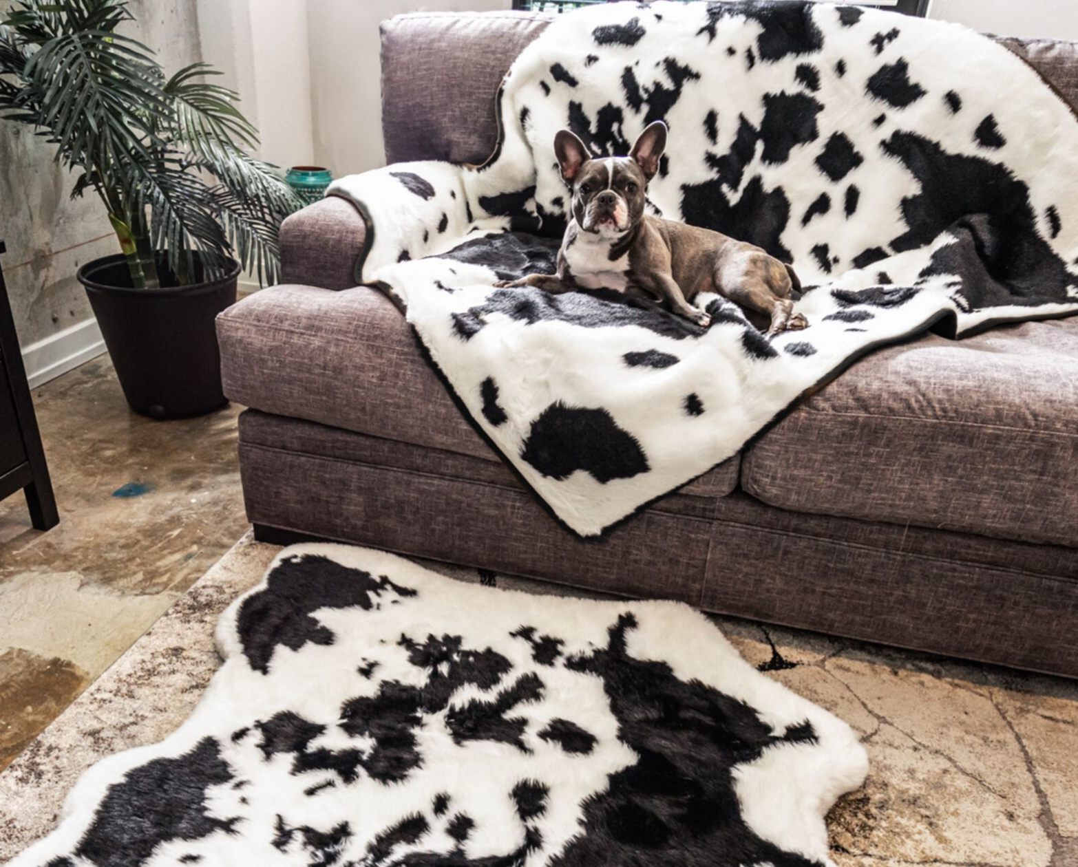 PupRug™ Memory Foam Bed + Matching Waterproof Blanket Bundle - Black Faux Cowhide、mySite、solidvoid
