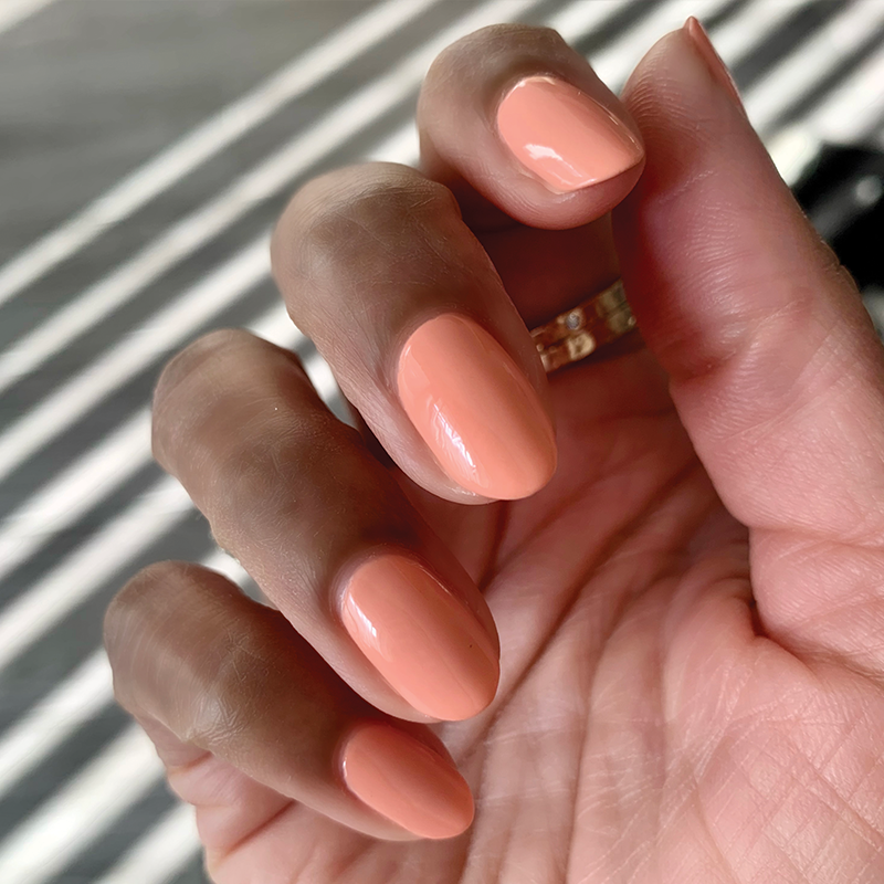 Wild & Free、mySite、solidvoid