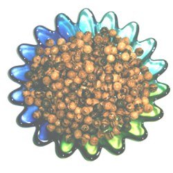 7.5mm round Rosary carved Beads (500 beads) - Betlehem Olive wood、mySite、topwebapps