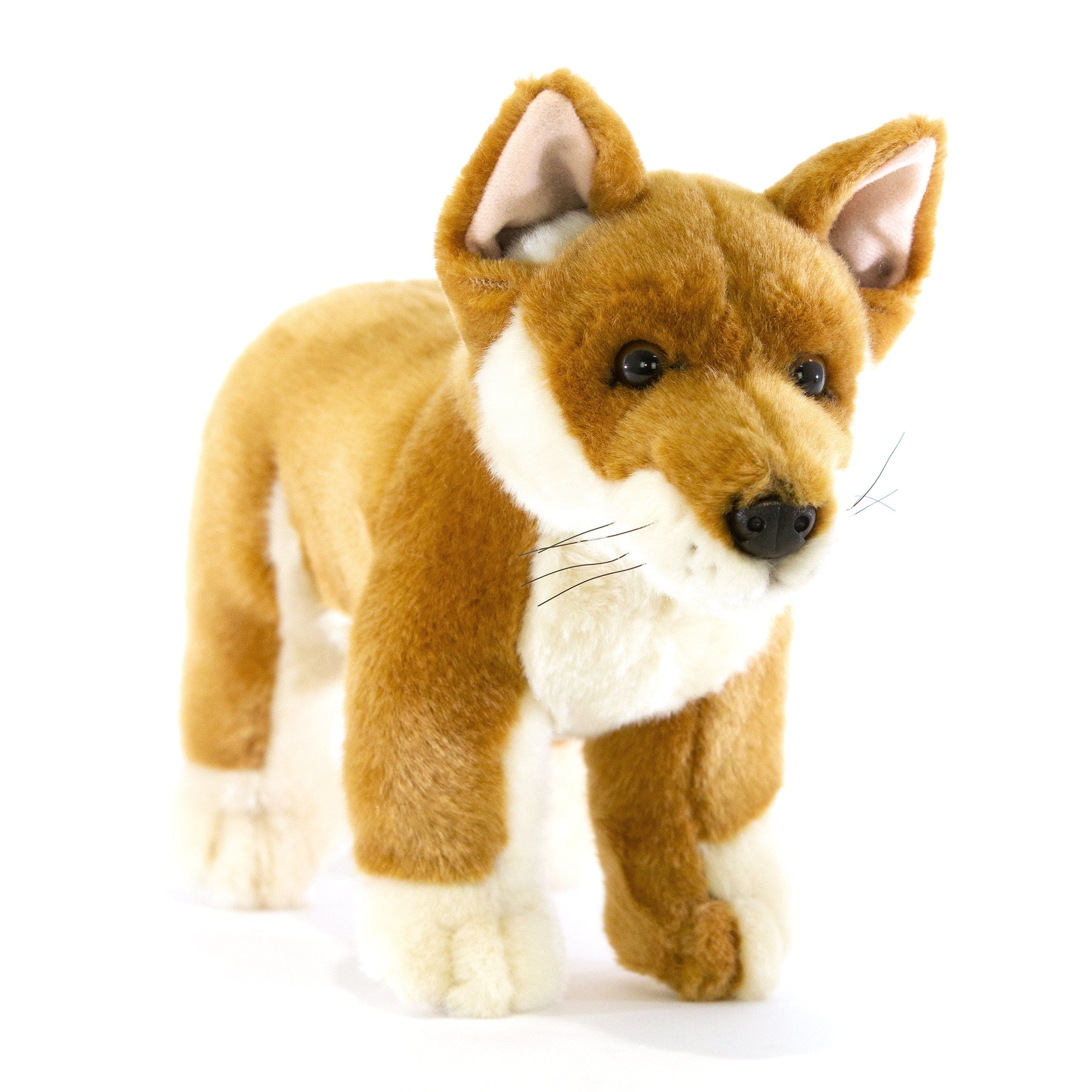Tan Australian Dingo Size 20cm/7.8″ Realistic、mySite、g9winljtr