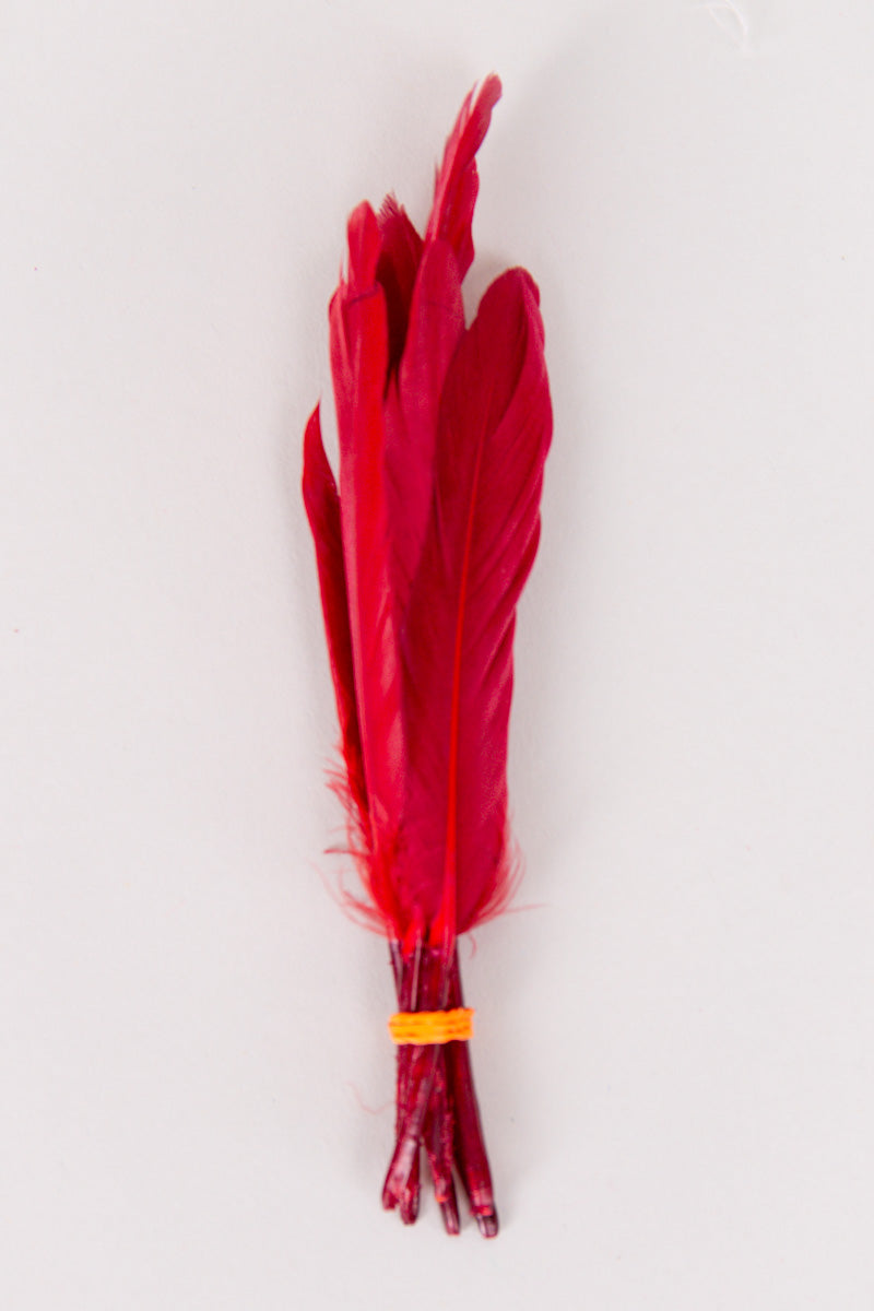 Mini Goose Feathers Bundle of 6- Orange Rubber Band - FINAL SALE、mySite、hinf8tx79
