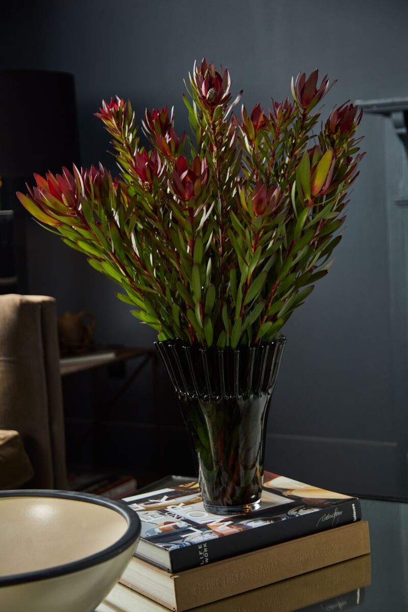  Lolanthe Vase、mySite、elrpsem3k