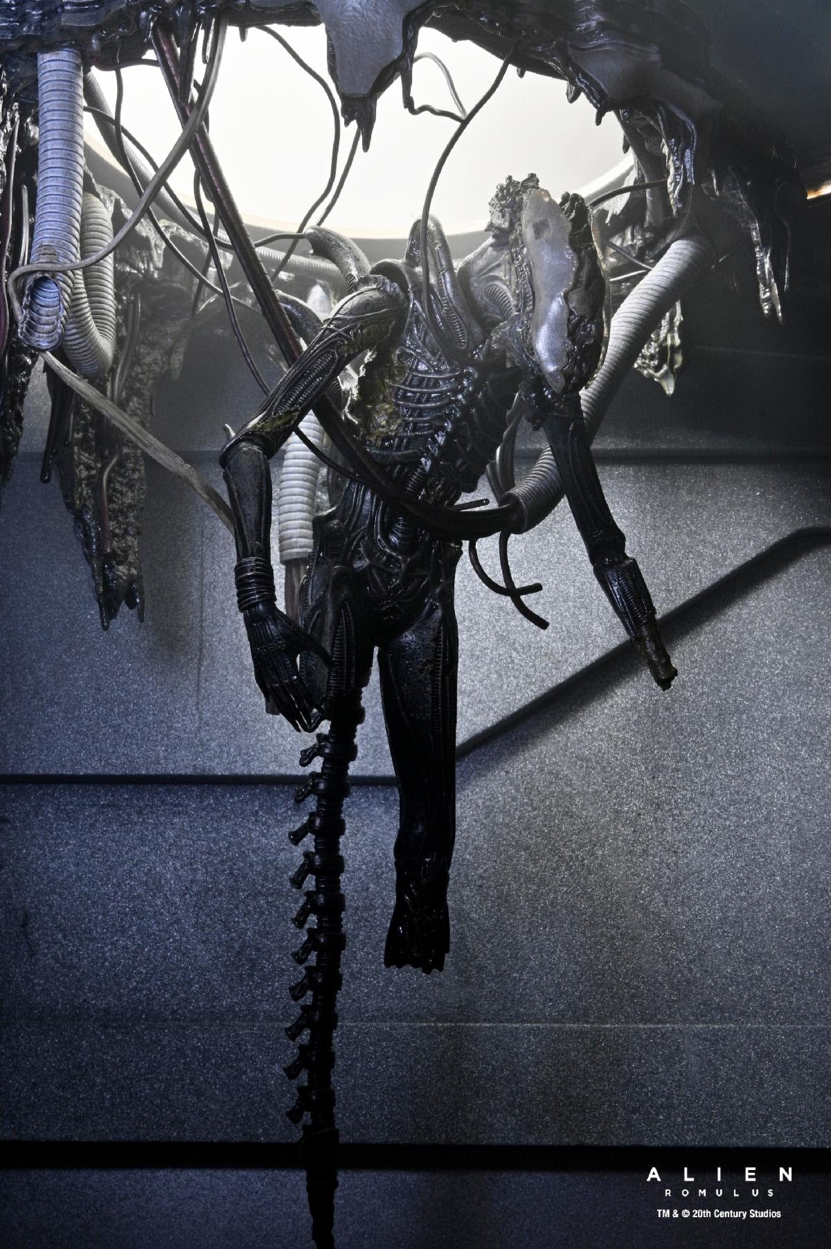 NECA Alien: Romulus Deluxe Suspended Lab Xenomorph XX121、mySite、hgirdovlk