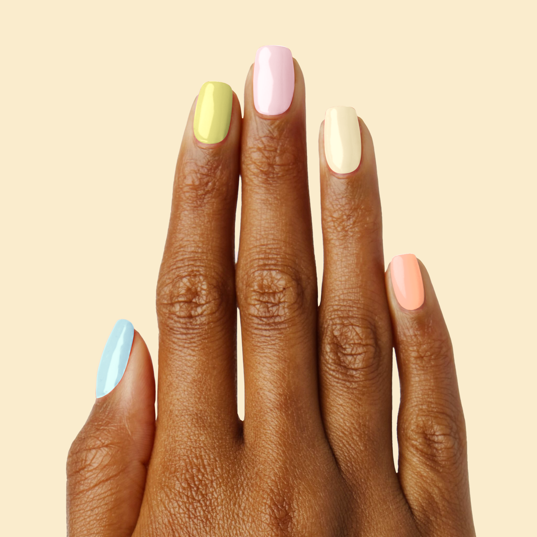 Tutti Frutti、mySite、solidvoid