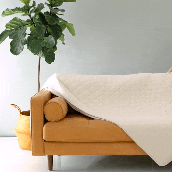  Adult Quilted Blanket in Oat 2.5、mySite、layawaytickets