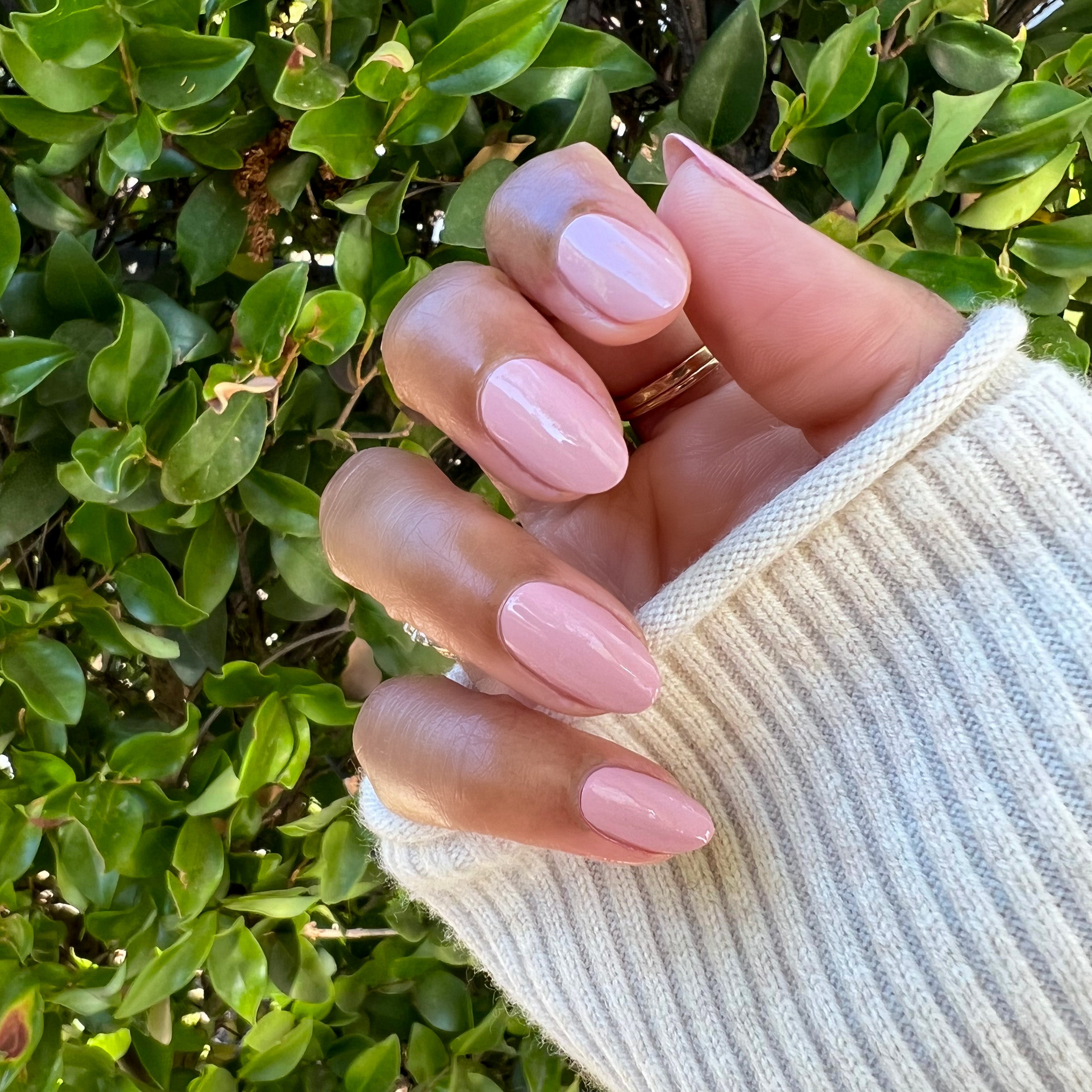 Poodle、mySite、solidvoid