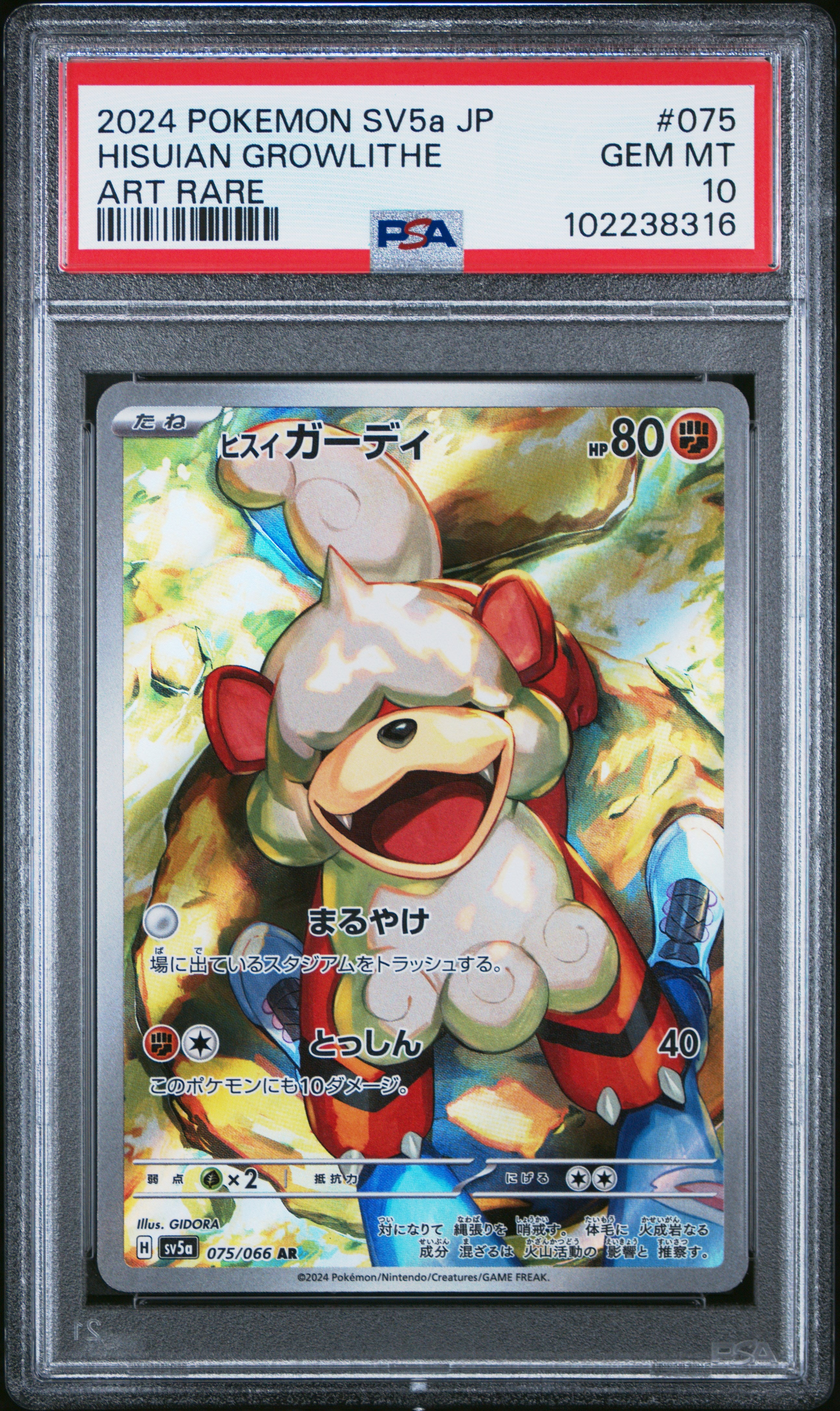Hisuian Growlithe #075 Art Rare PSA 10 Japanese Crimson Haze 2024、mySite、waistdrama