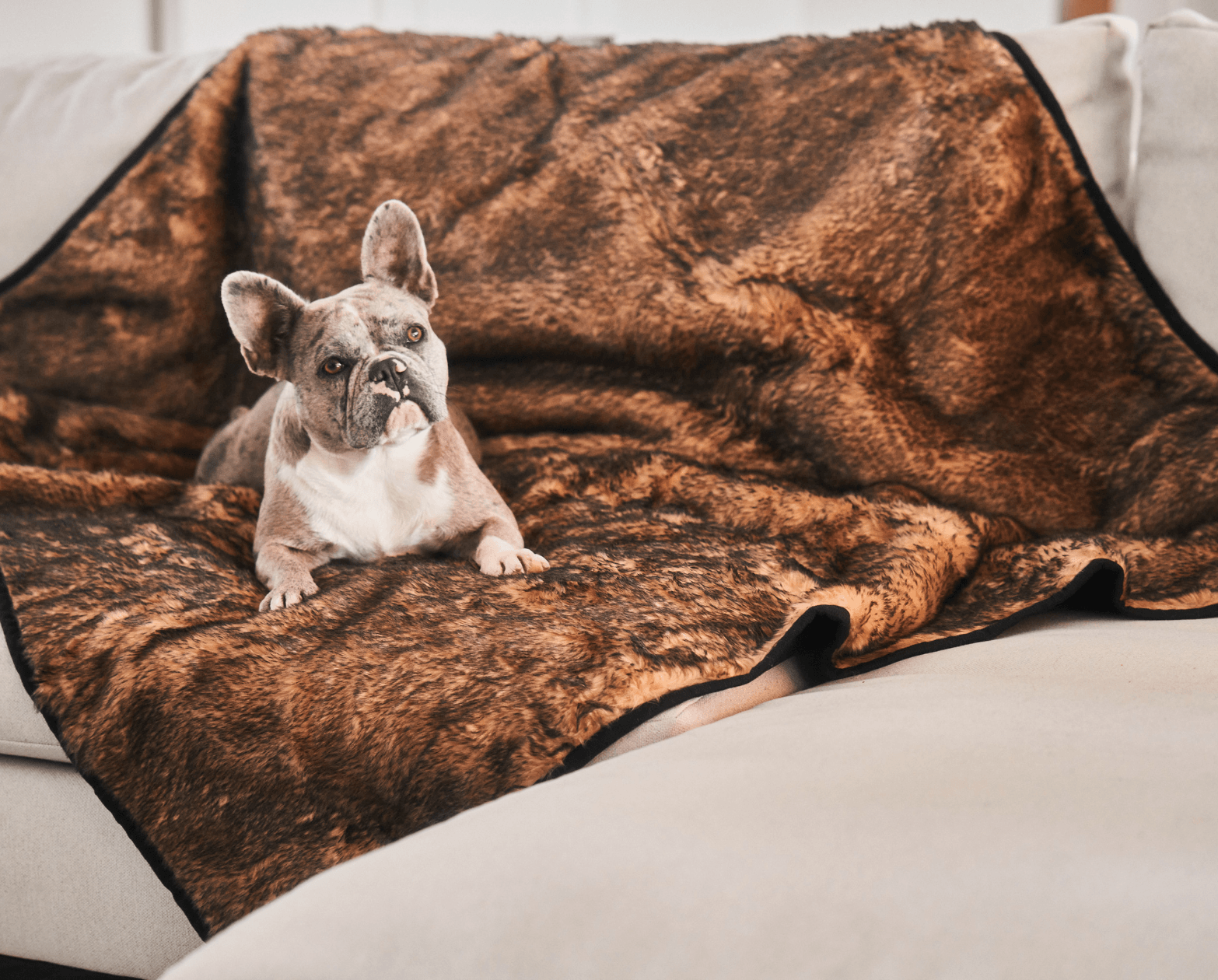 Paw.com x BarkBox PupProtector™ Short Fur Waterproof Throw Blanket - Sable Tan、mySite、solidvoid