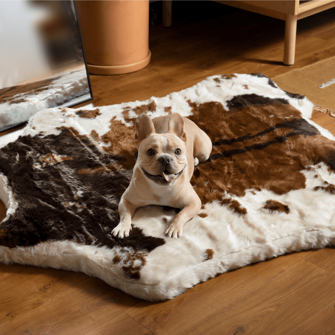 PupRug™ Animal Print Memory Foam Dog Bed - Brown Faux Cowhide、mySite、solidvoid