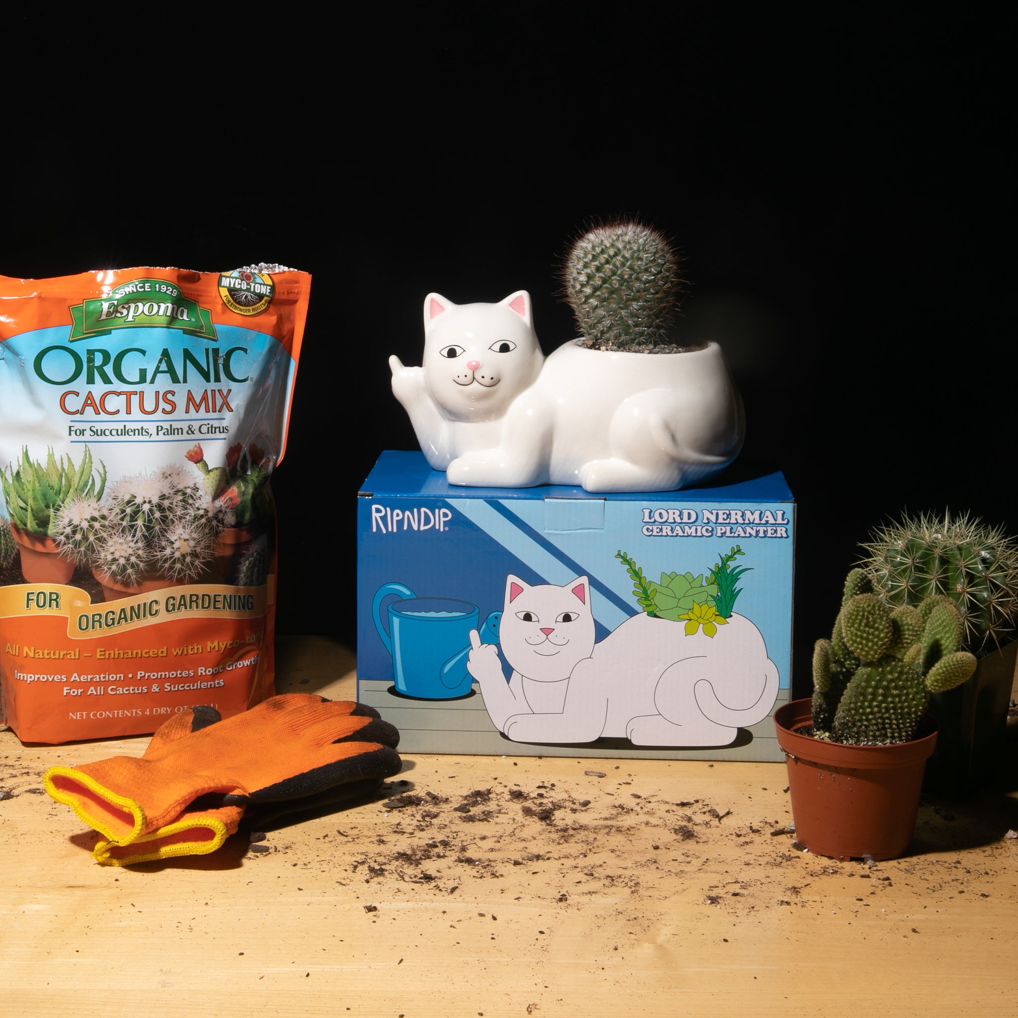  Lord Nermal Ceramic Planter (White)、mySite、merchandisen