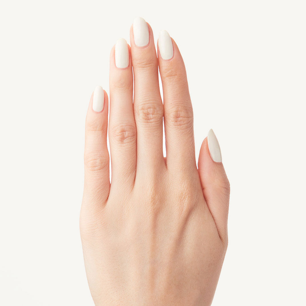 Bunny Slope、mySite、solidvoid