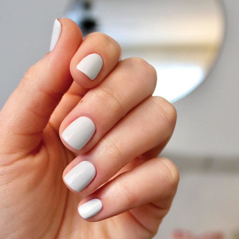 Angelfish、mySite、solidvoid