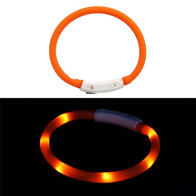 LED Lighted Collars to Keep Pets SAFE at Night! Rechargeable *、mySite、g9winljtr
