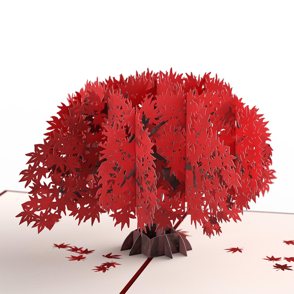 Majestic Japanese Maple Pop-Up Card、mySite、solidvoid